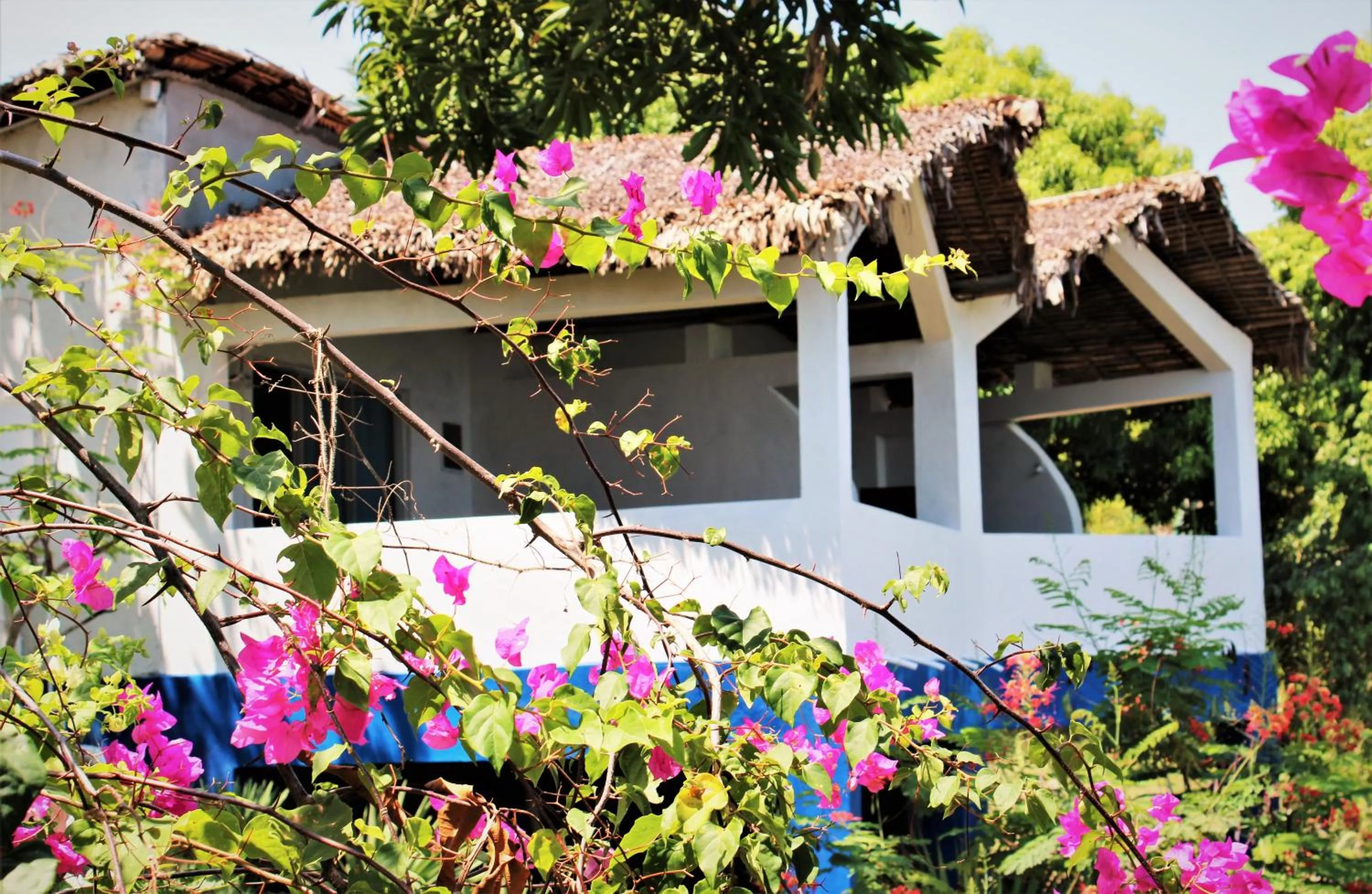 Patio in Le Grand Bleu