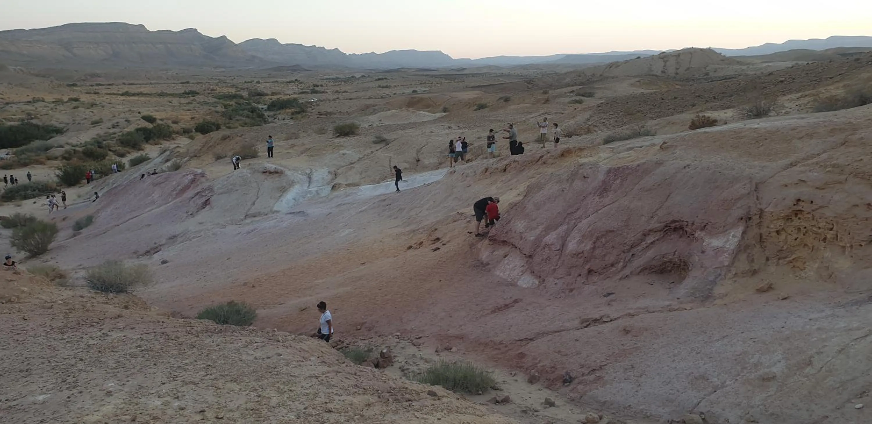 עדן במדבר - eden in desert