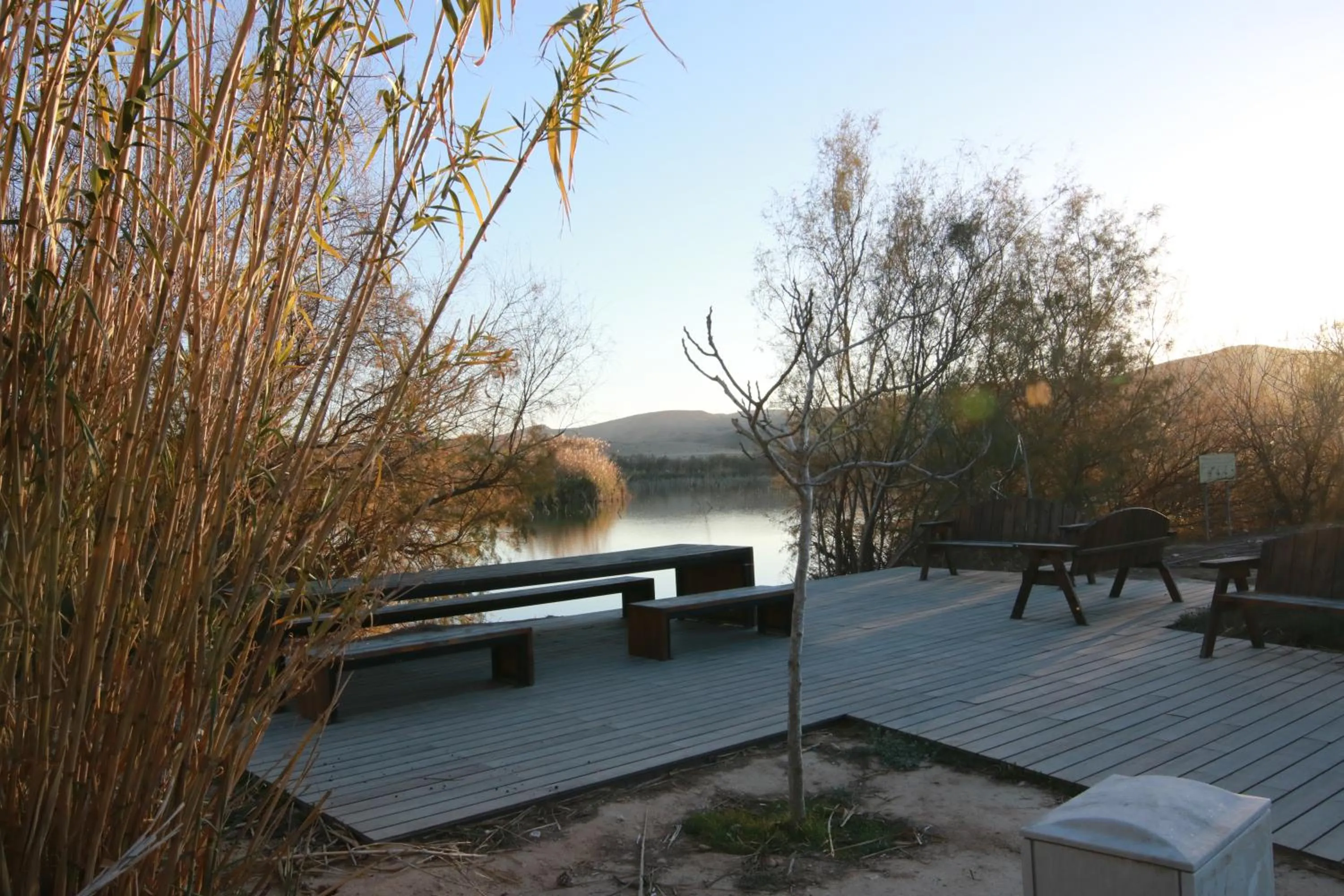 עדן במדבר - eden in desert