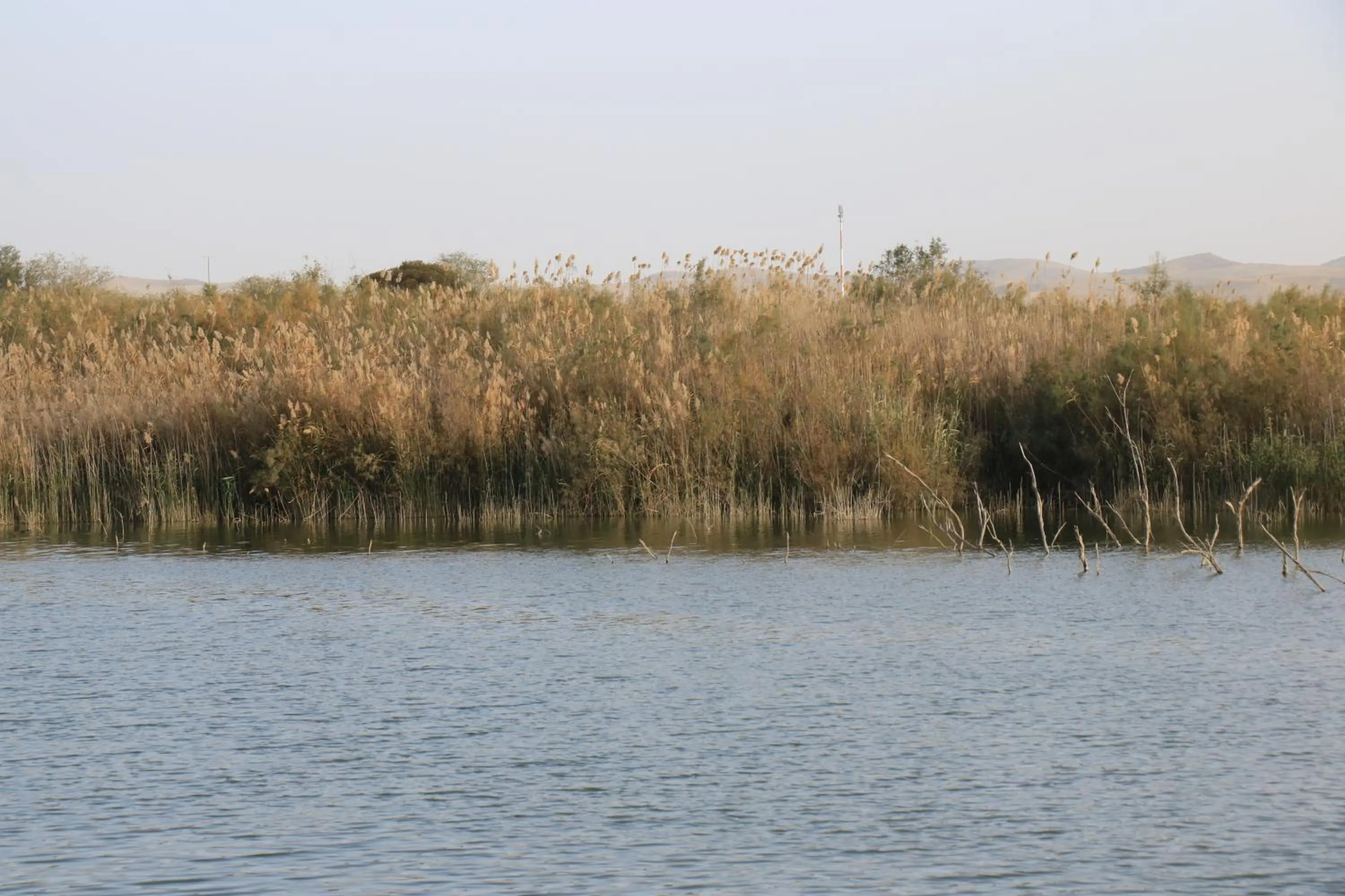 עדן במדבר - eden in desert