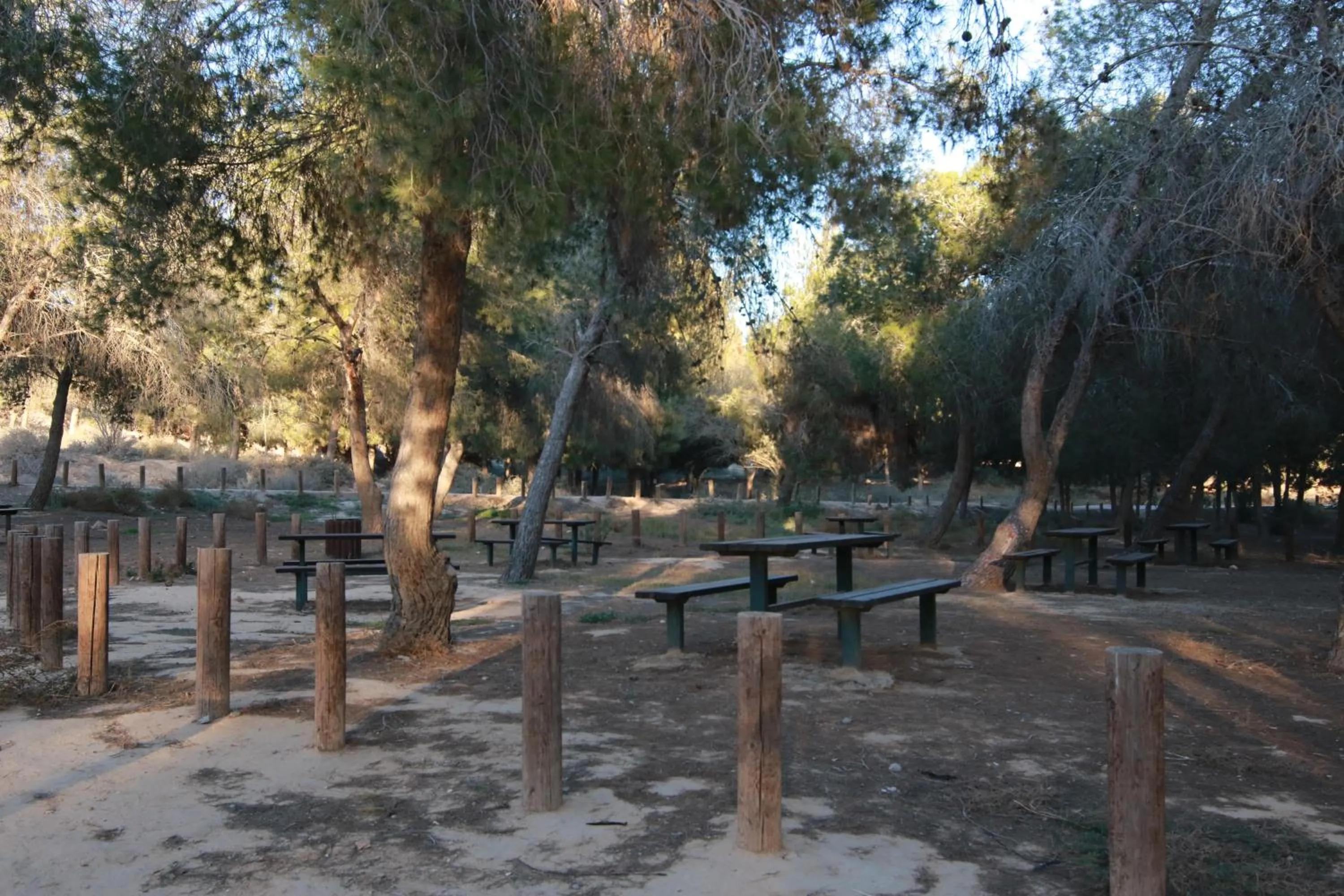 עדן במדבר - eden in desert