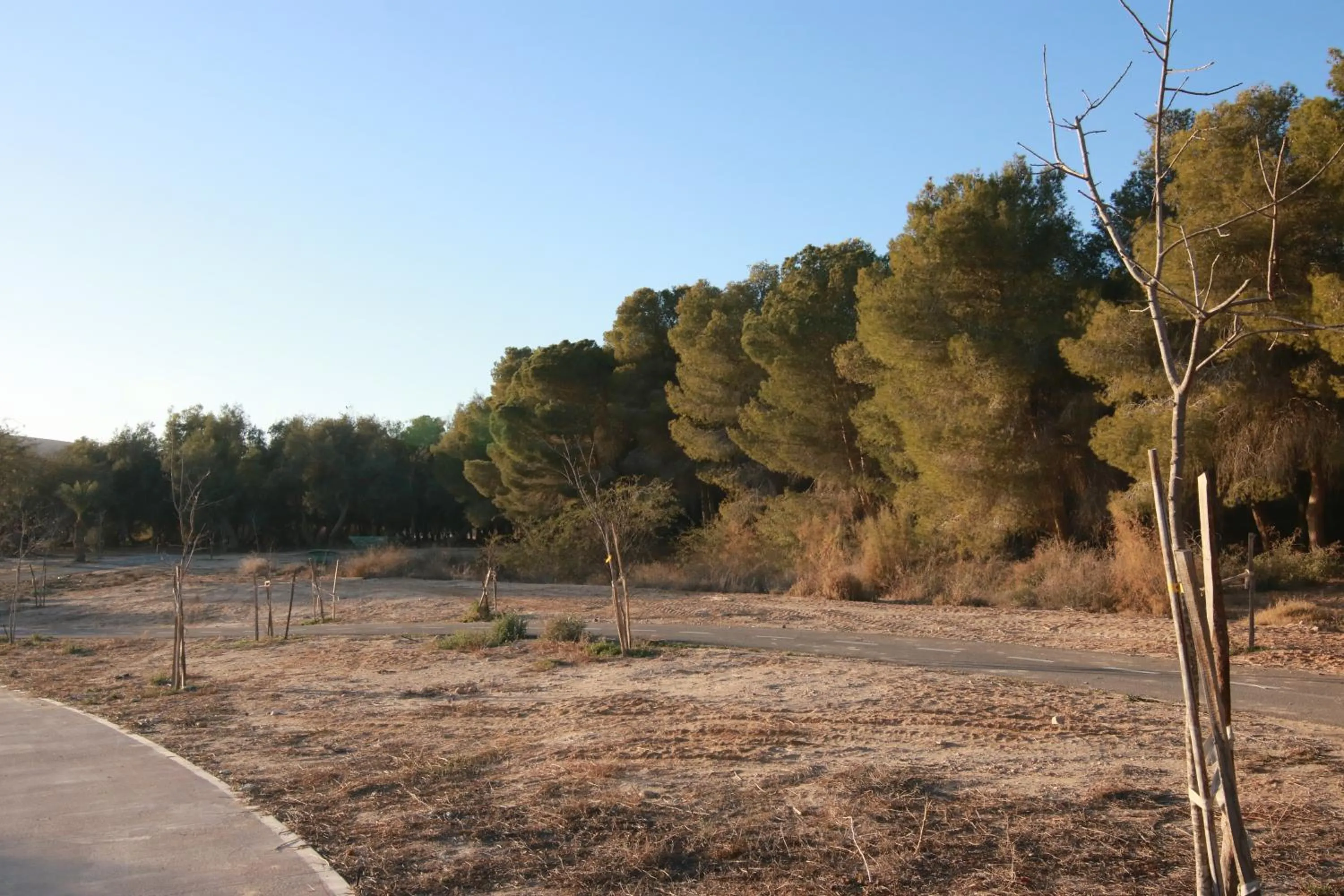 עדן במדבר - eden in desert