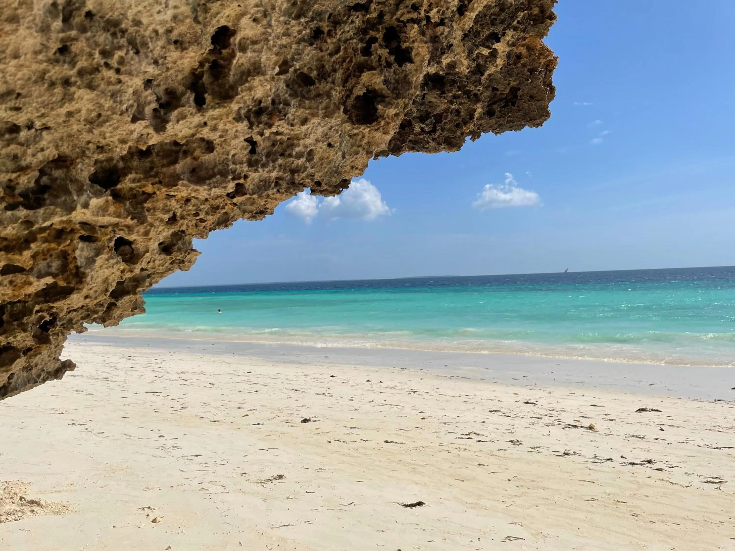 Natural landscape in Savi House Nungwi