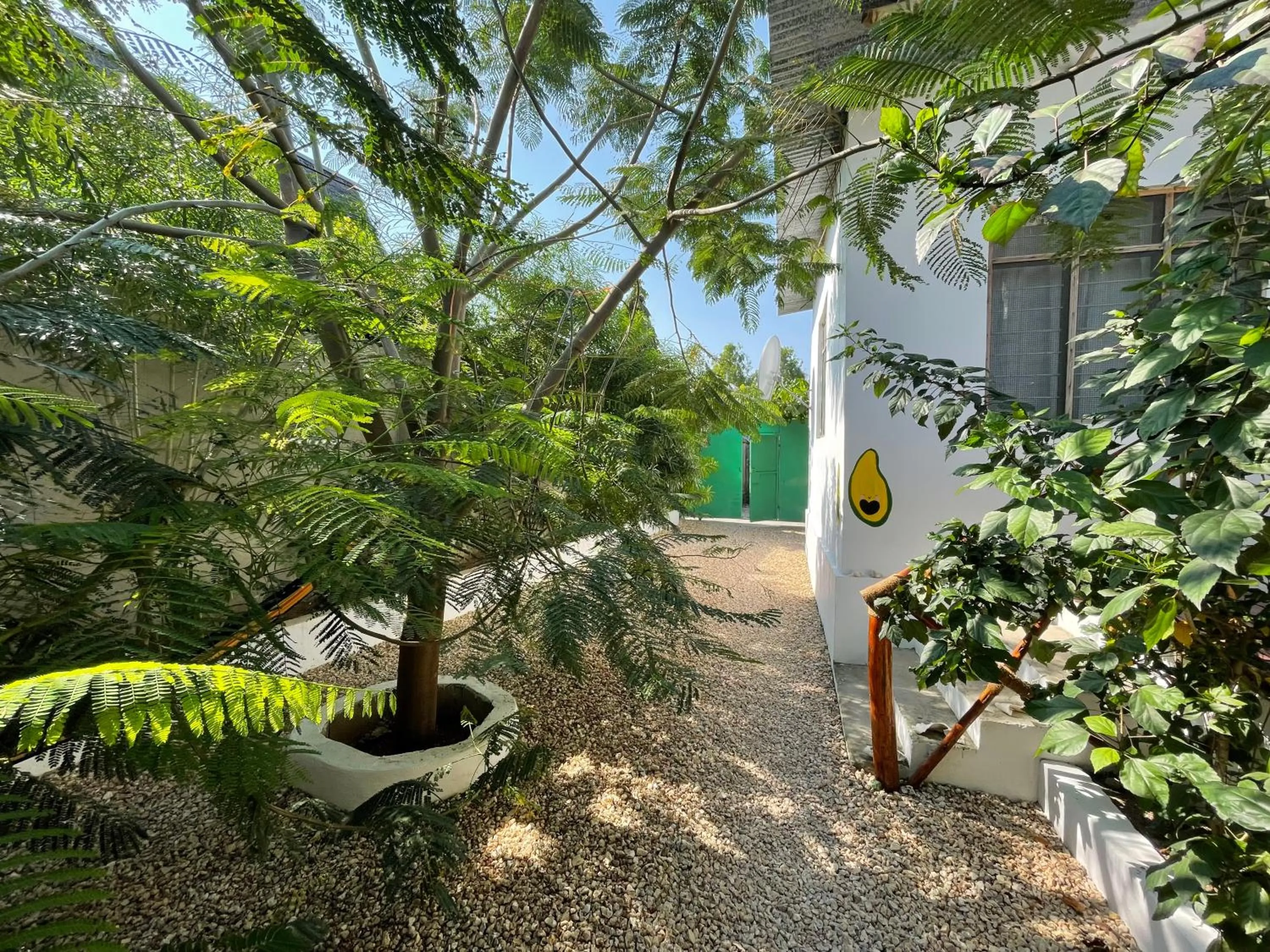 Garden in Savi House Nungwi