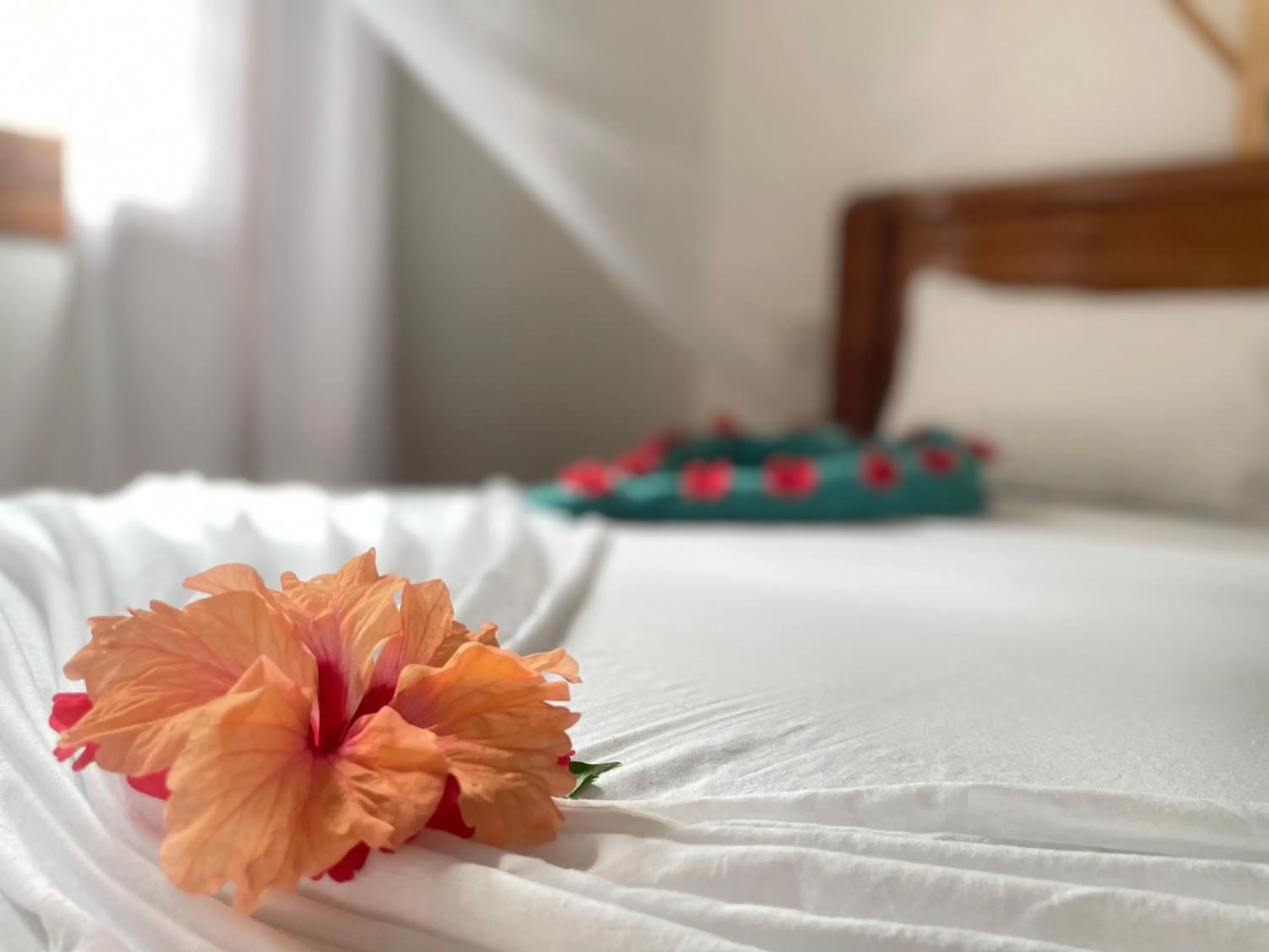 Bed in Savi House Nungwi