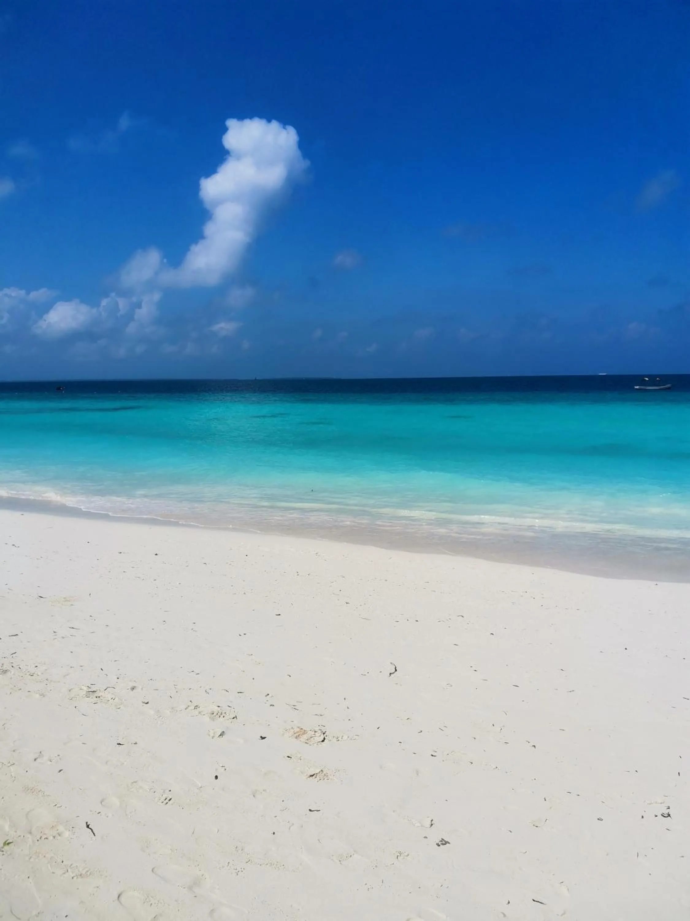 Beach in Savi House Nungwi