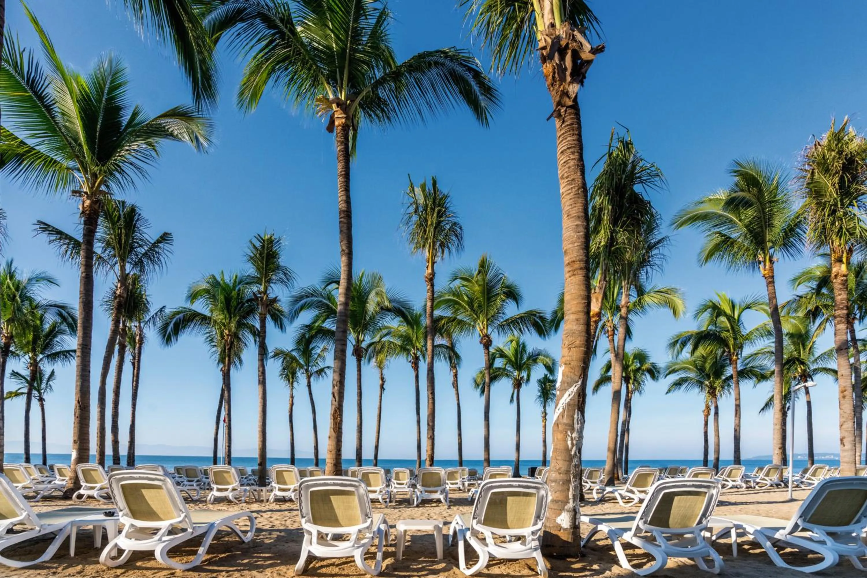 Beach in Riu Vallarta - All Inclusive