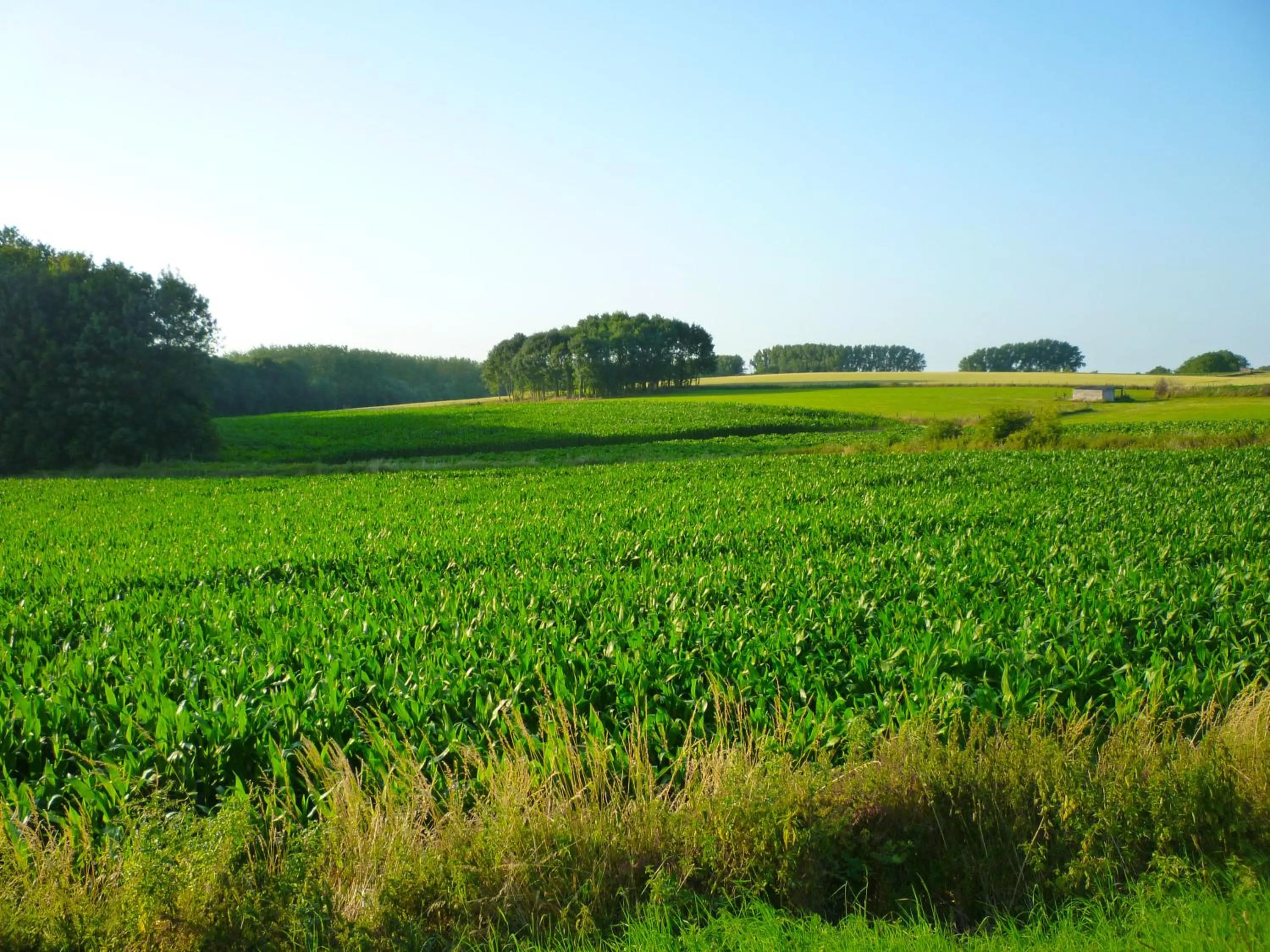 Natural landscape in Het Verblijf