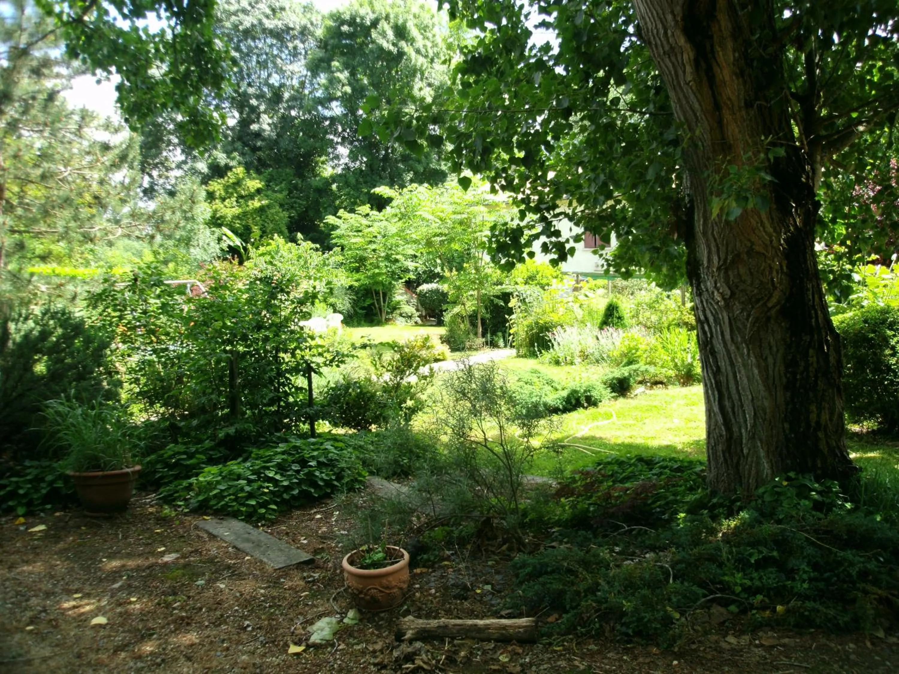 Garden in Le chalet du Bord de l'eau