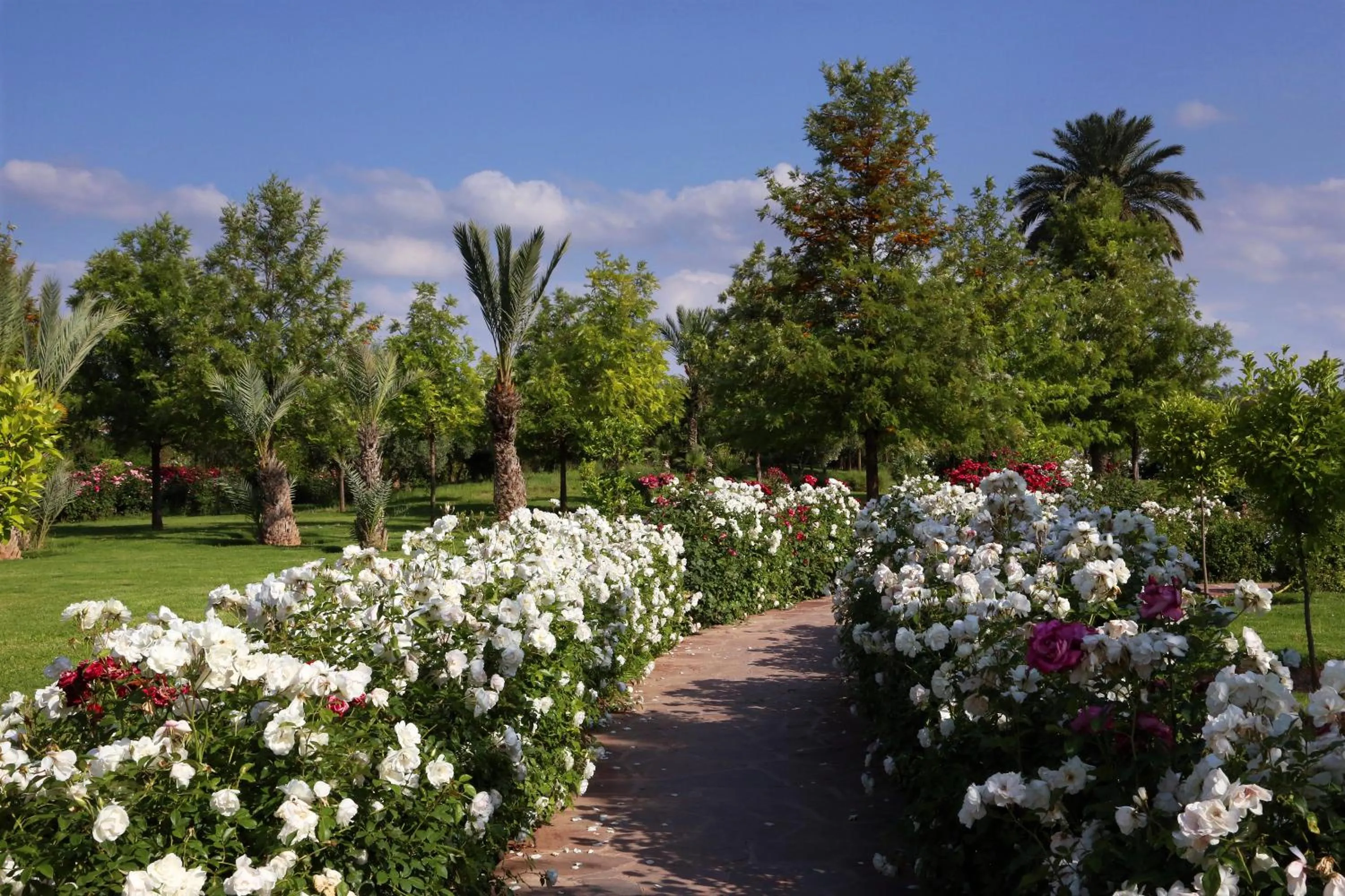 Spring in Valeria Dar Atlas All Inclusive