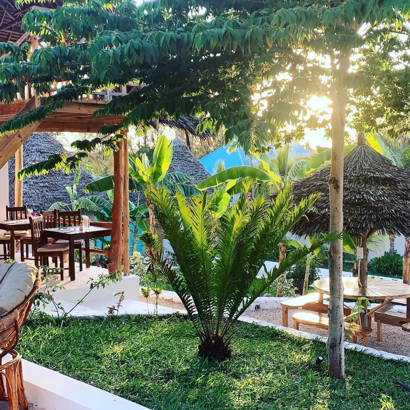 Garden in Zanzibar Tropical Sunset Boutique Hotel - Adults Only
