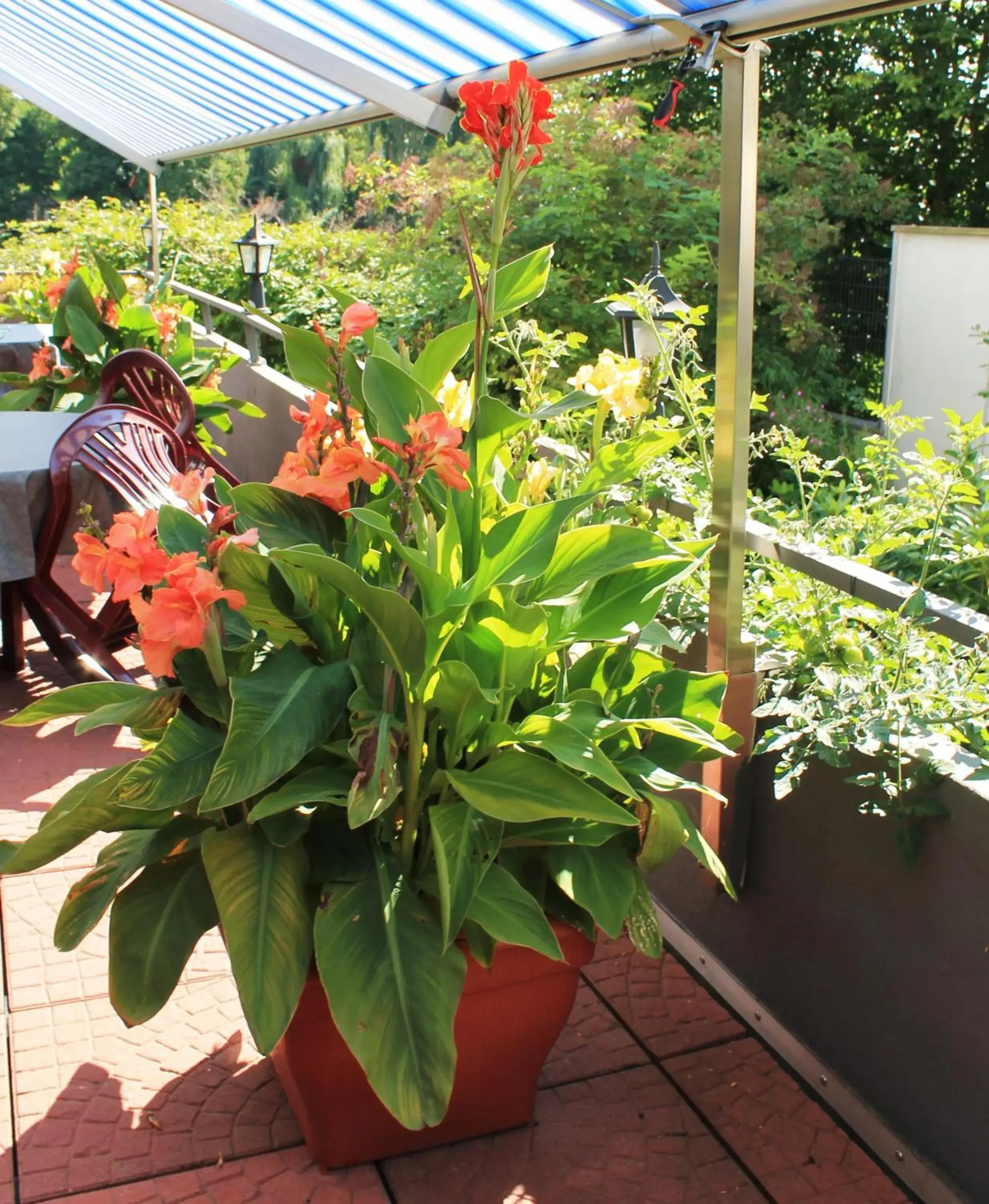 Single Room in Hotel Wakenitzblick Single Room in Hotel Wakenitzblick