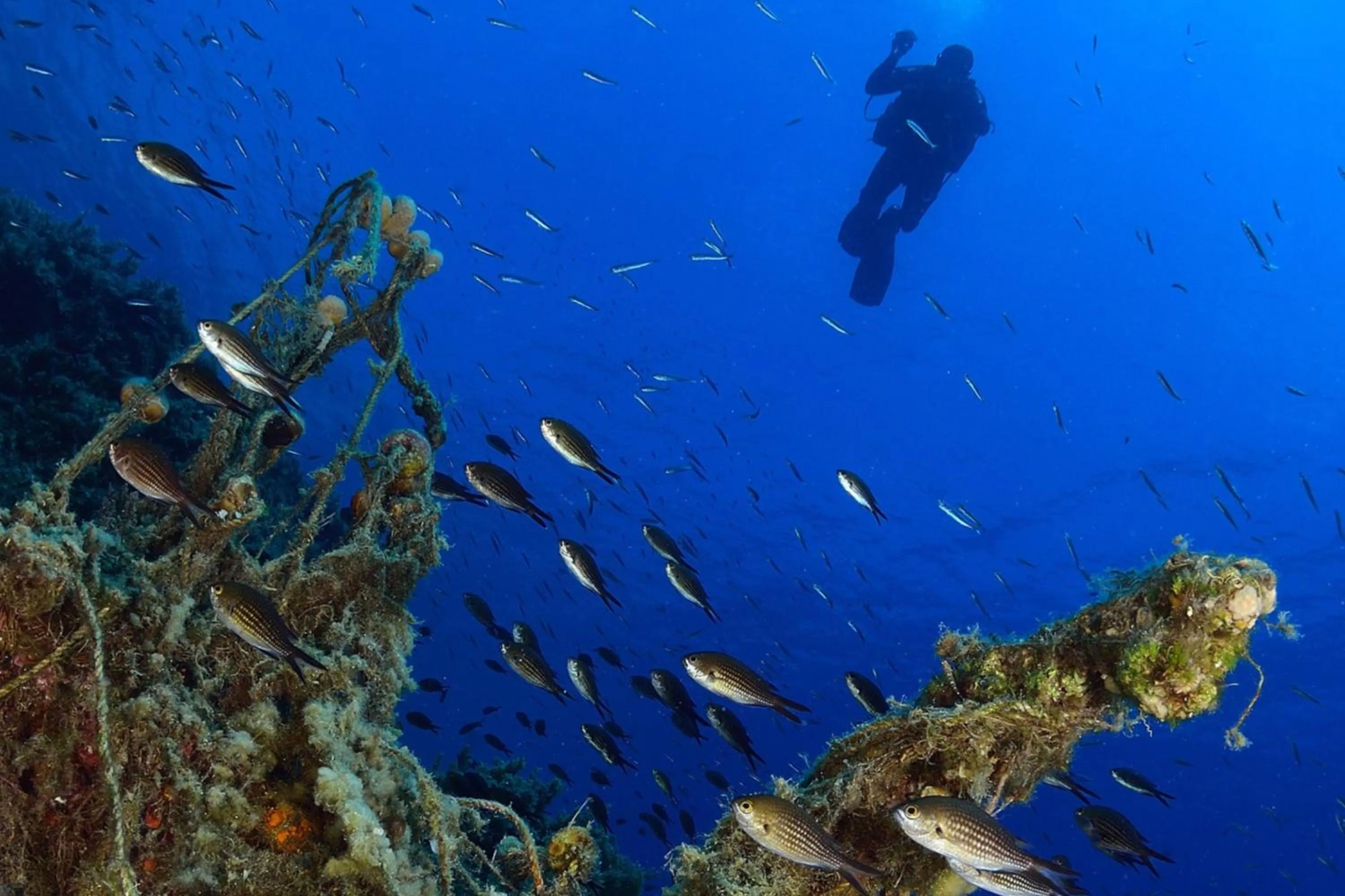 Other in North Island, a Luxury Collection Resort, Seychelles