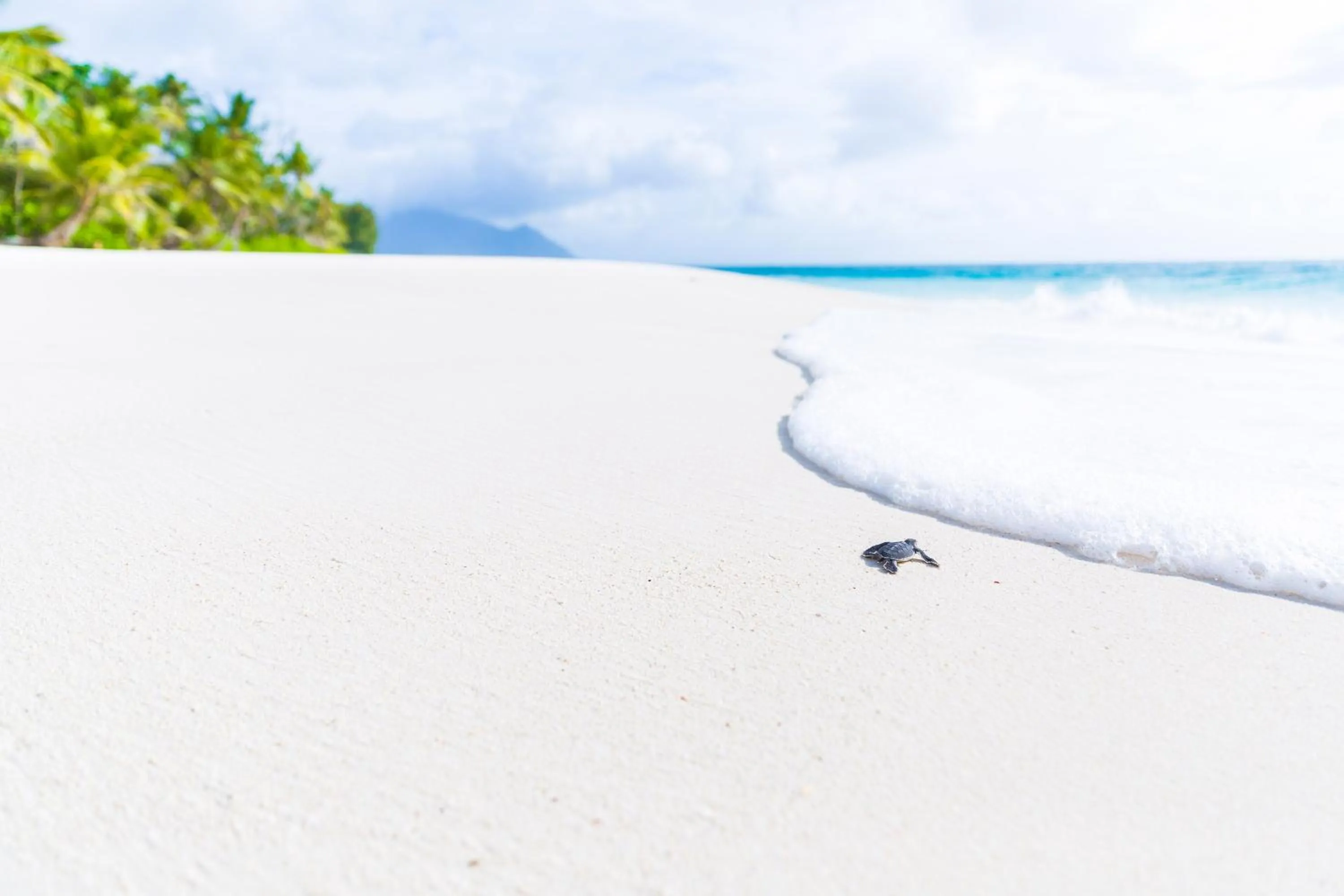 Other in North Island, a Luxury Collection Resort, Seychelles