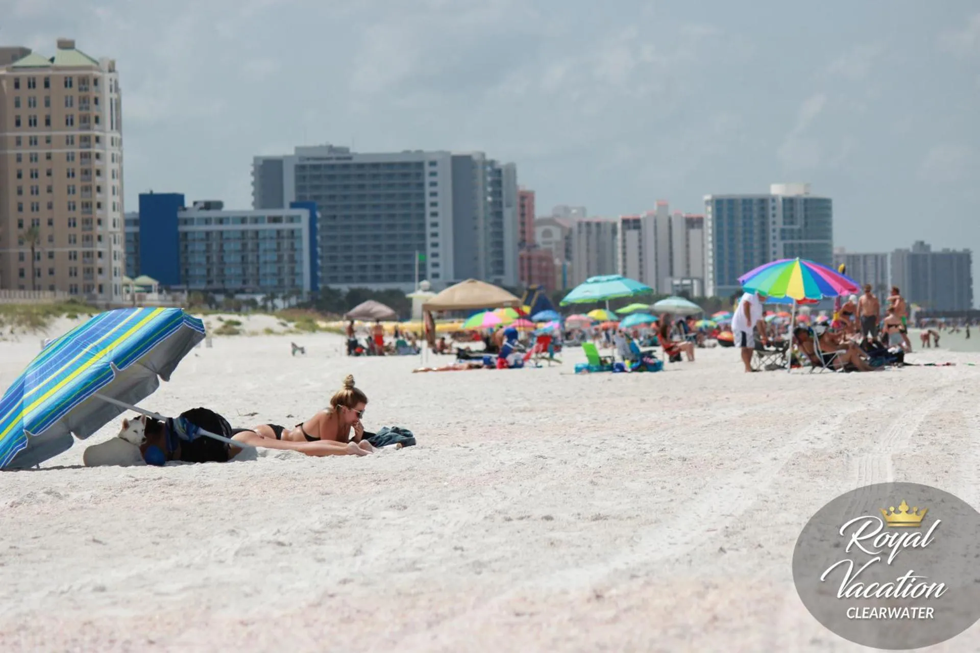 Beach in Royal Tropical at Avalon Clearwater - Pool & Free Parking - 10 Min Drive to Clearwater Beach