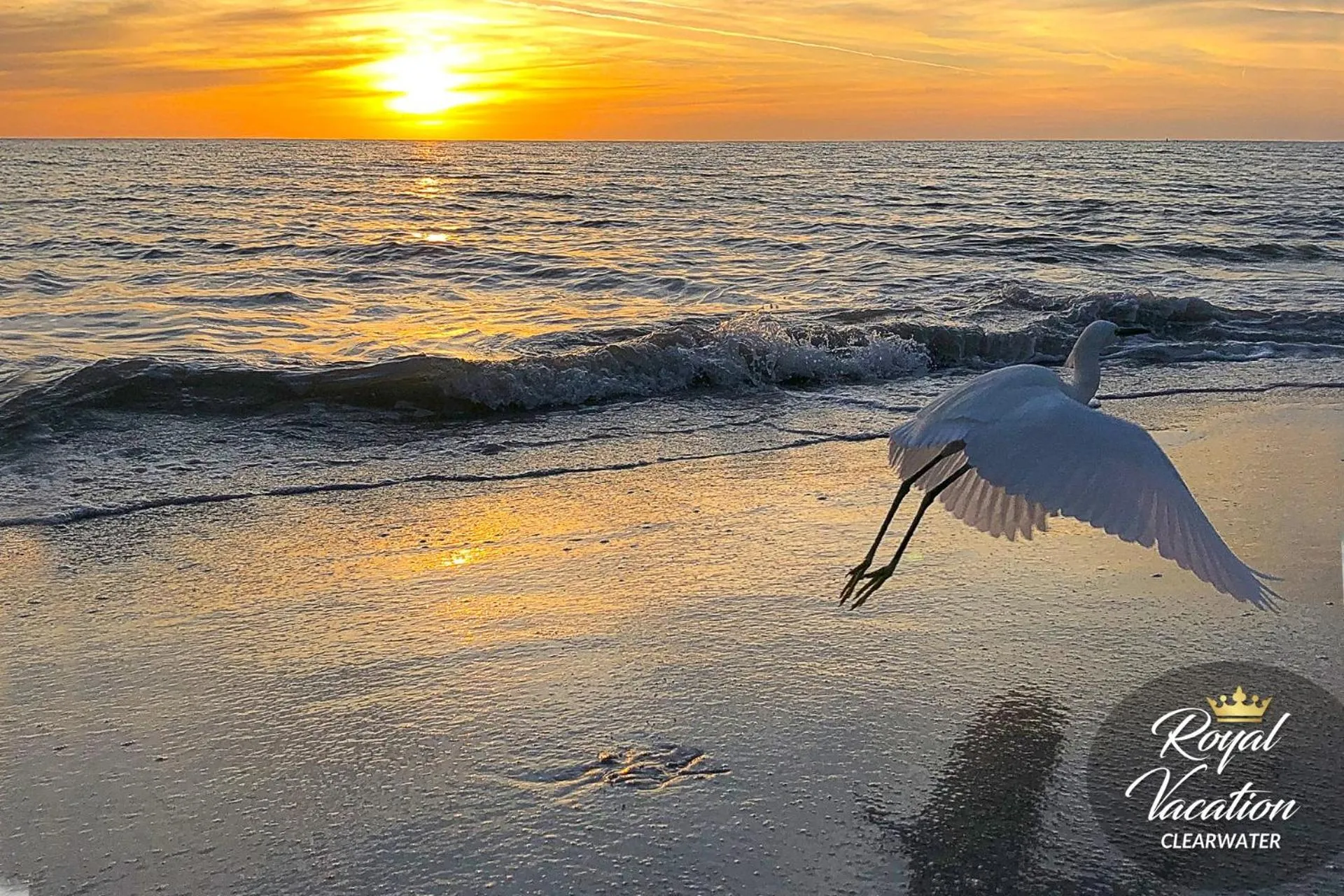 Natural landscape in Royal Tropical at Avalon Clearwater - Pool & Free Parking - 10 Min Drive to Clearwater Beach