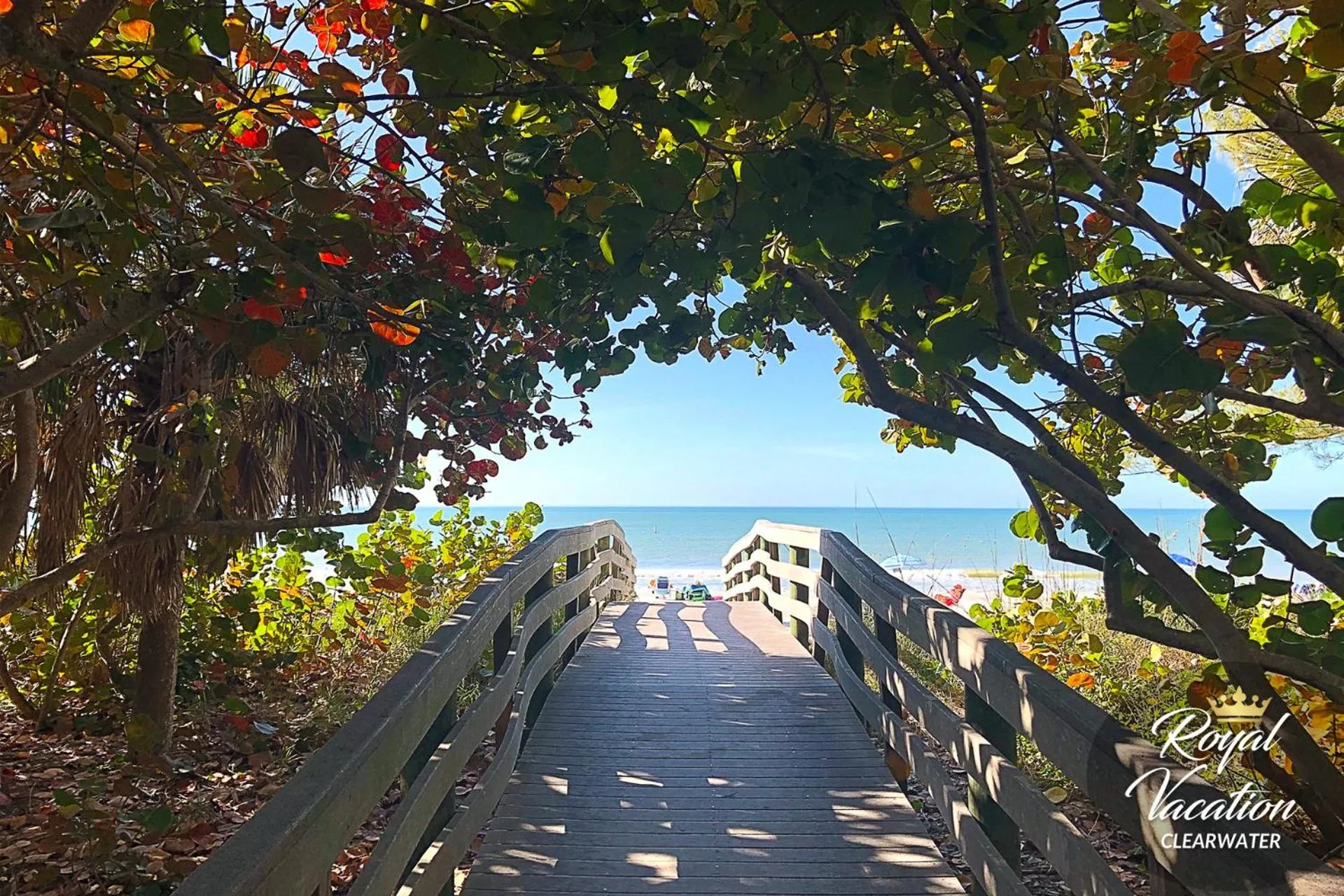 Natural landscape in Royal Tropical at Avalon Clearwater - Pool & Free Parking - 10 Min Drive to Clearwater Beach