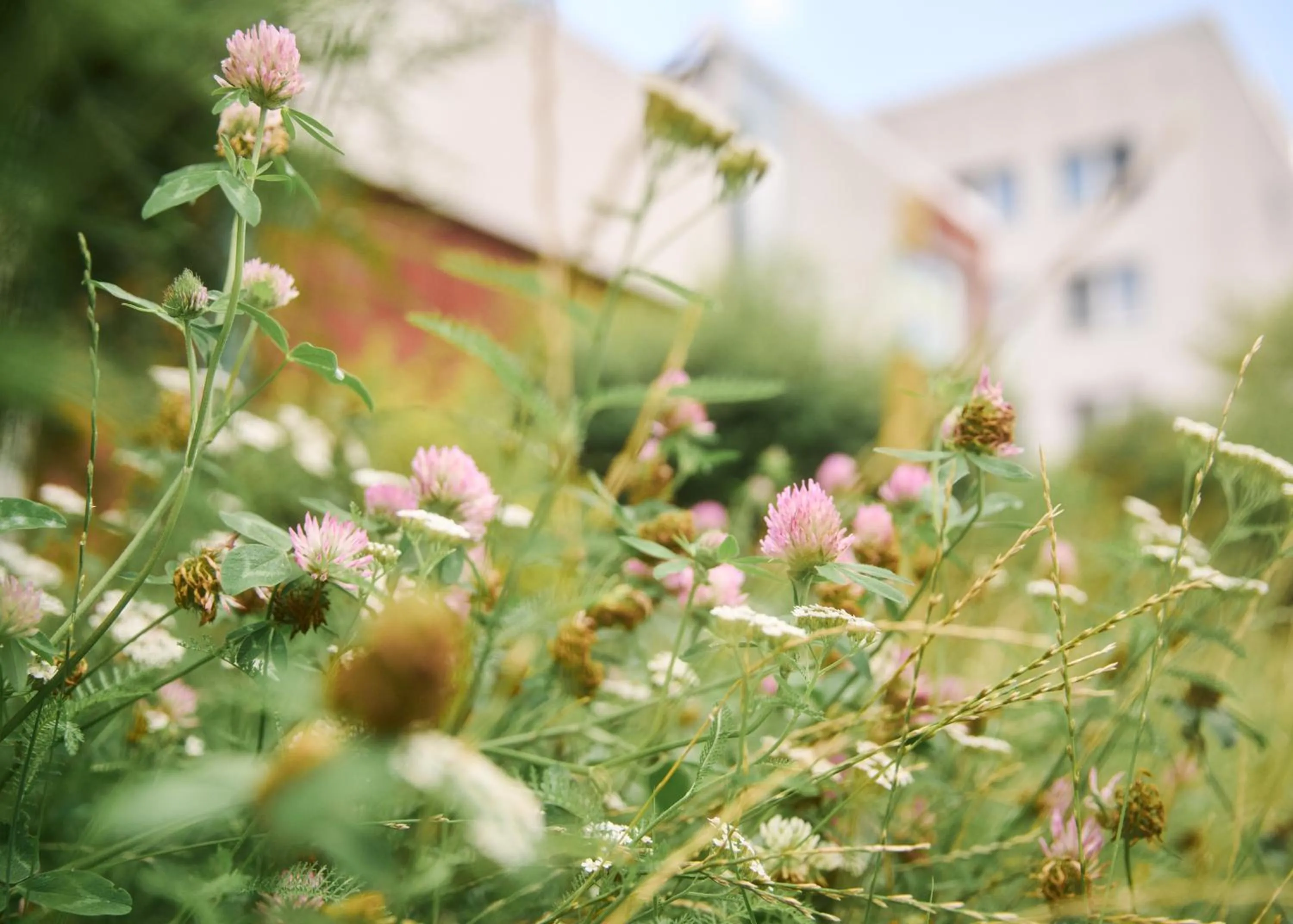 Property building in Akademiehotel Jena
