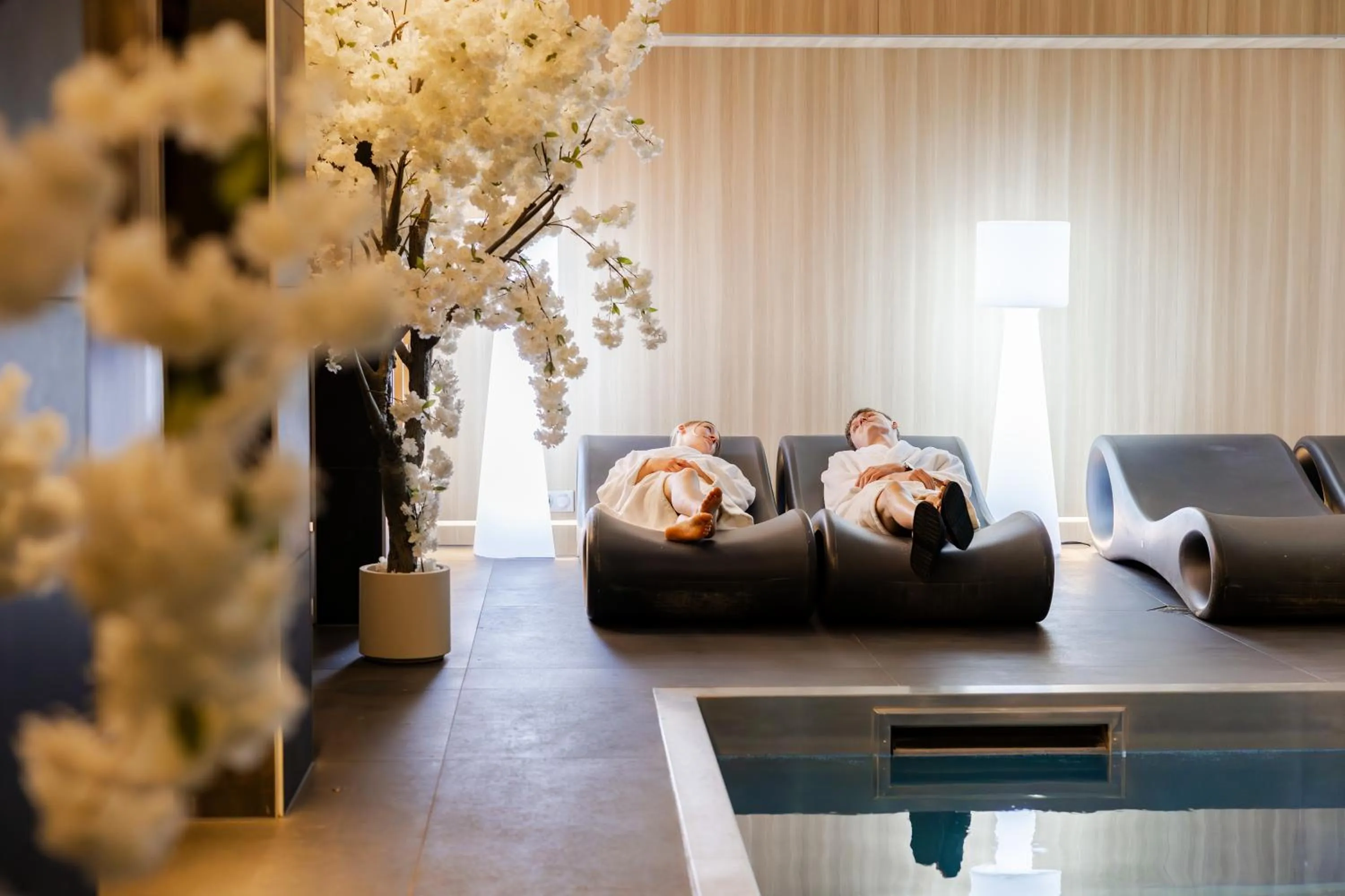 L' Hôtel & Spa Ribeauville- Haut-Koenigsbourg