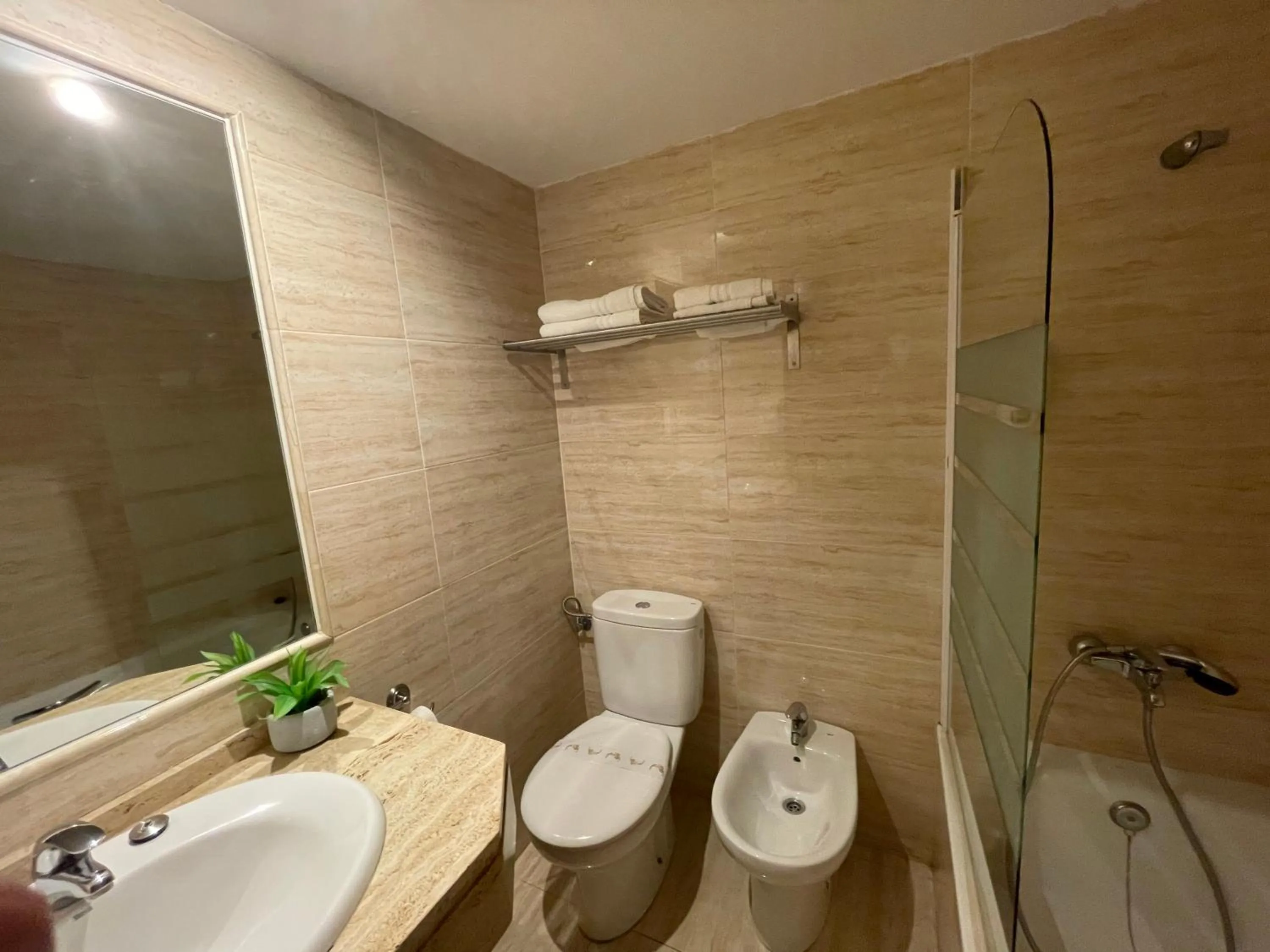 Apal Chinasol Estudios