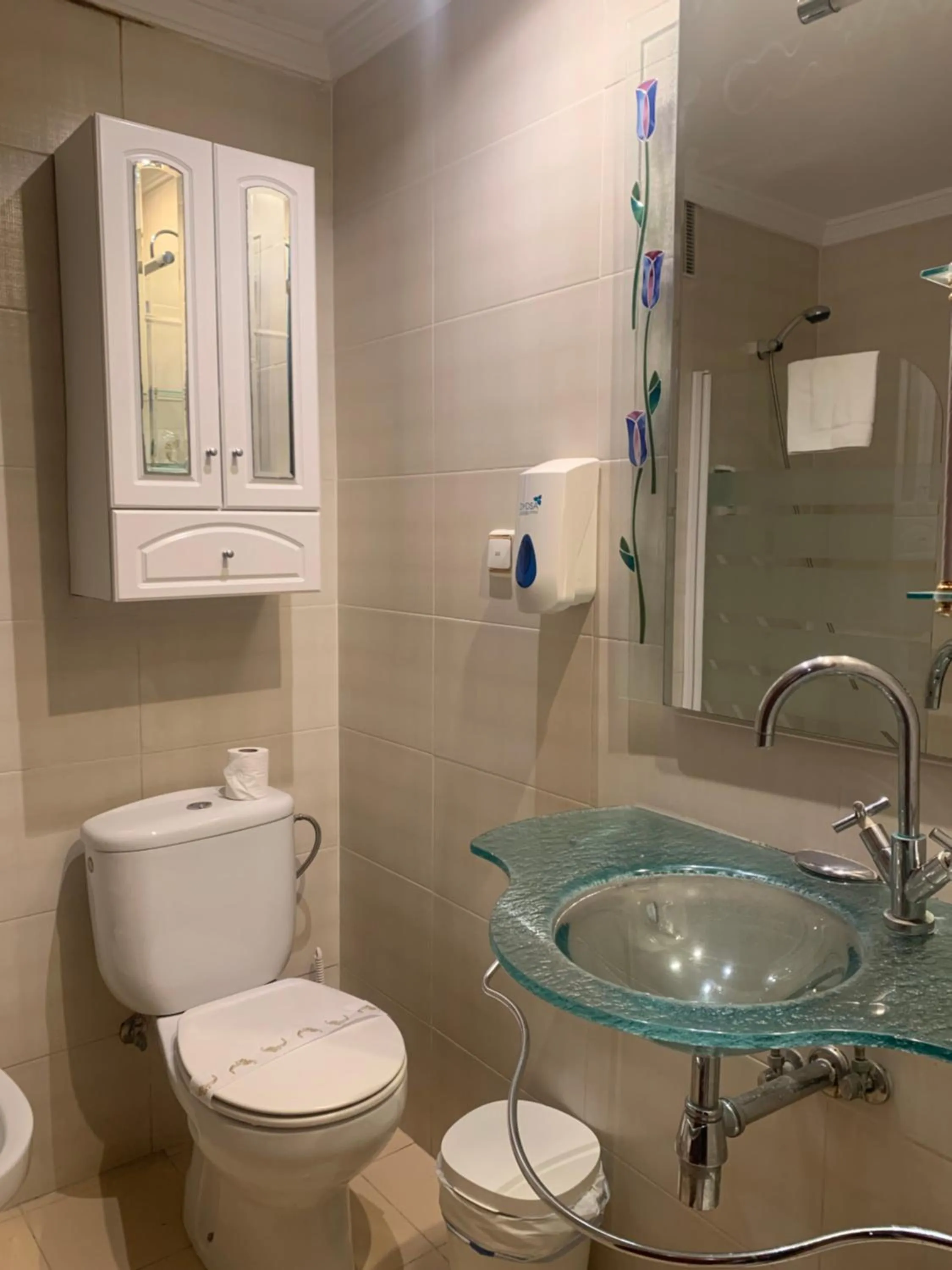 Apal Chinasol Estudios