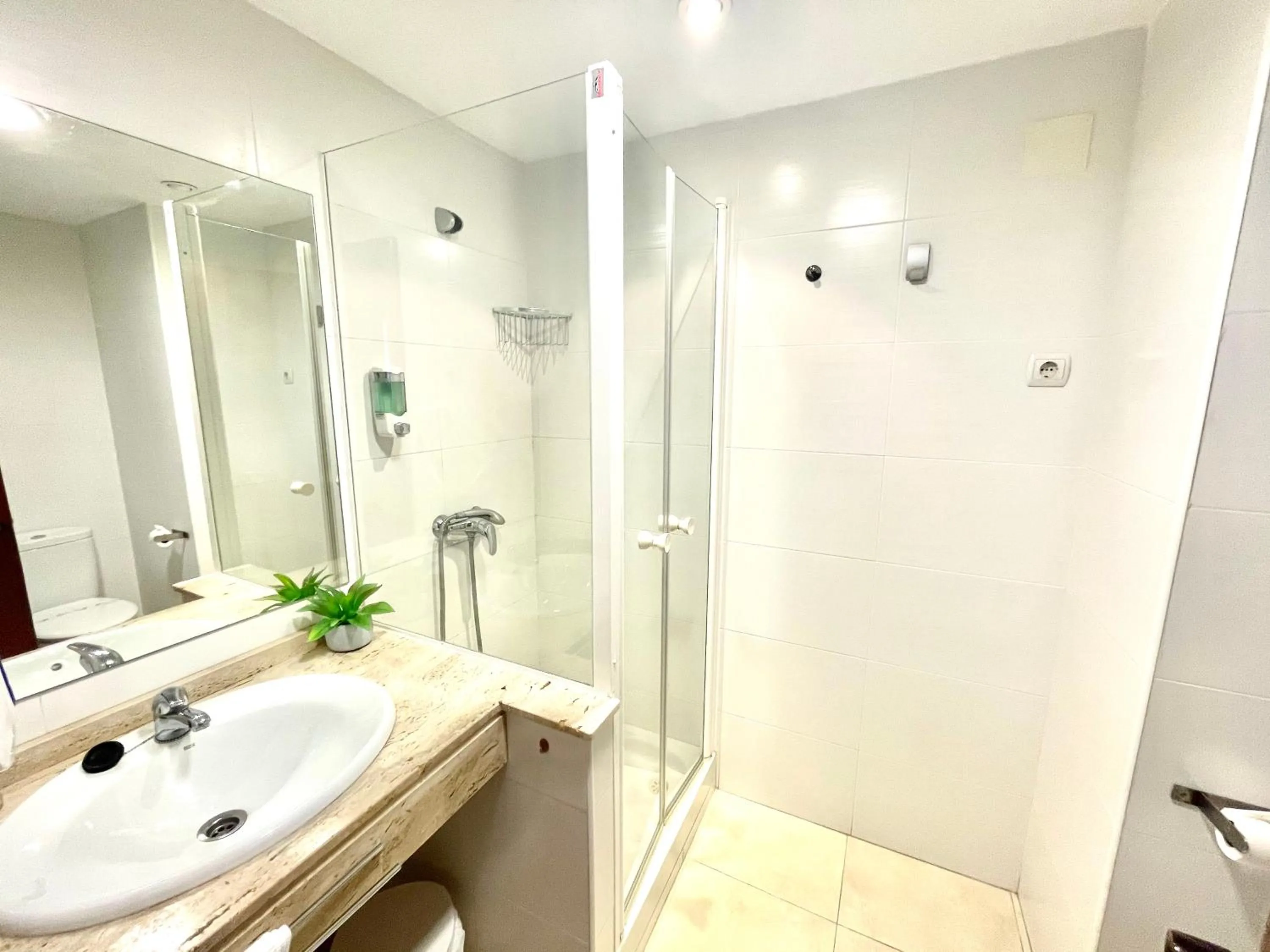 Apal Chinasol Estudios