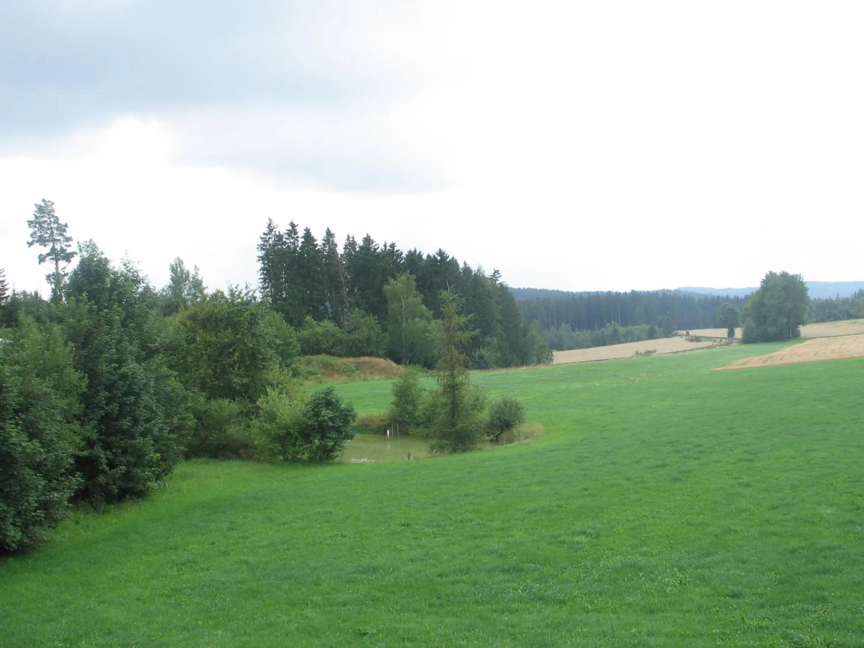 View (from property/room) in Gasthof-Pension Leupold