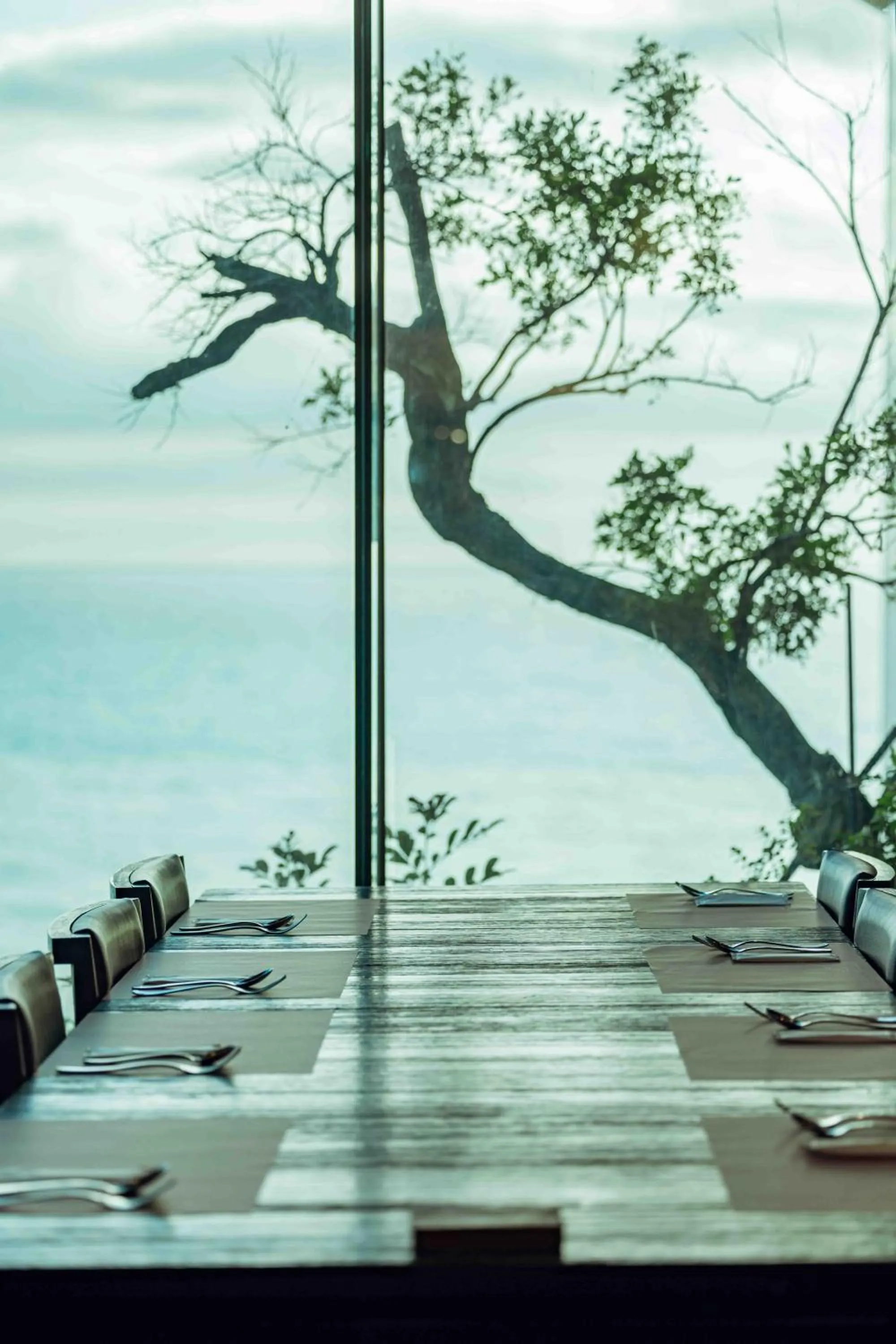 Restaurant/places to eat in H Resort