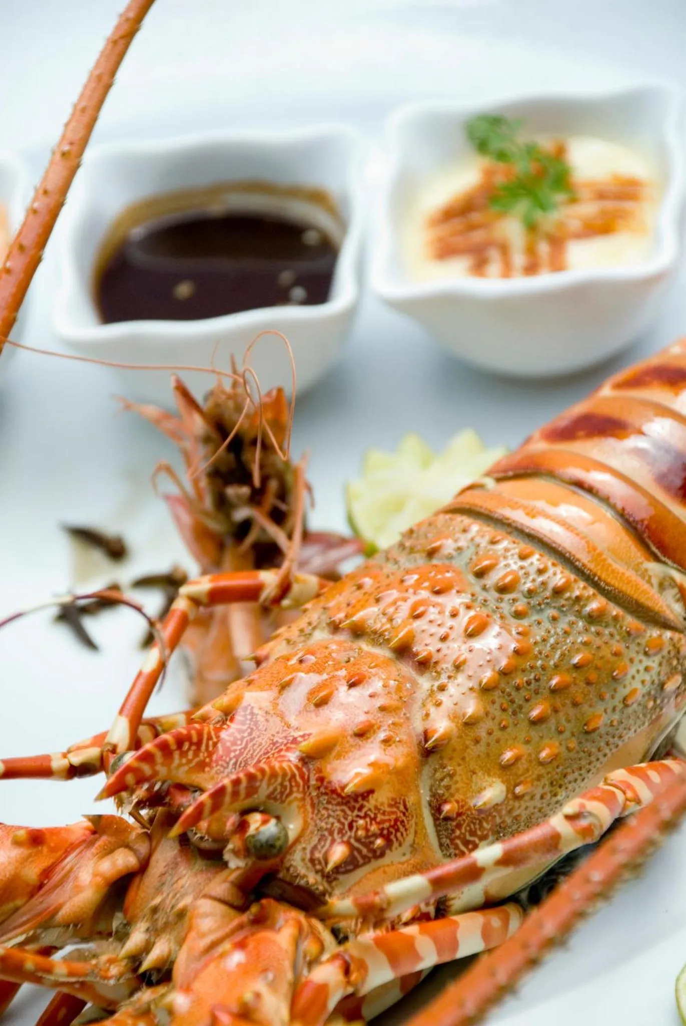 Dinner in Baraza Resort and Spa Zanzibar