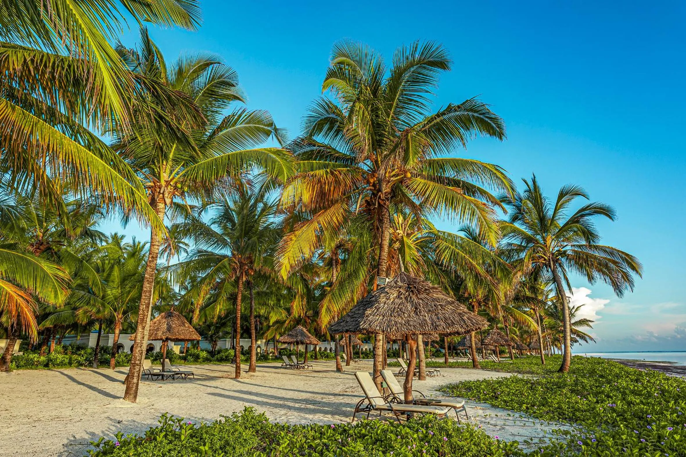 Beach in Baraza Resort and Spa Zanzibar
