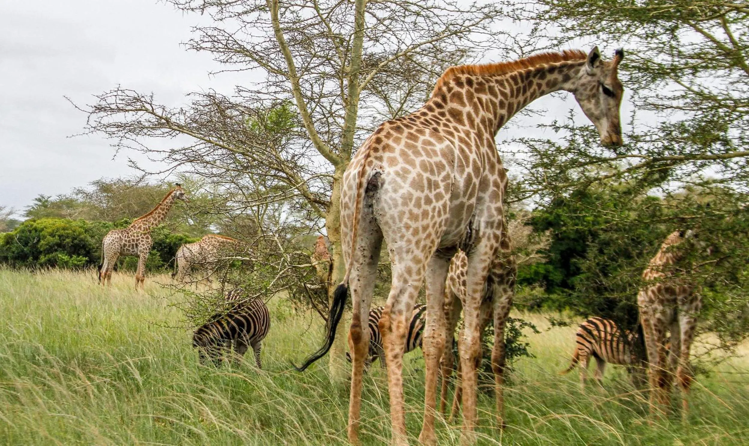 Day in SleepOver Kruger Gate