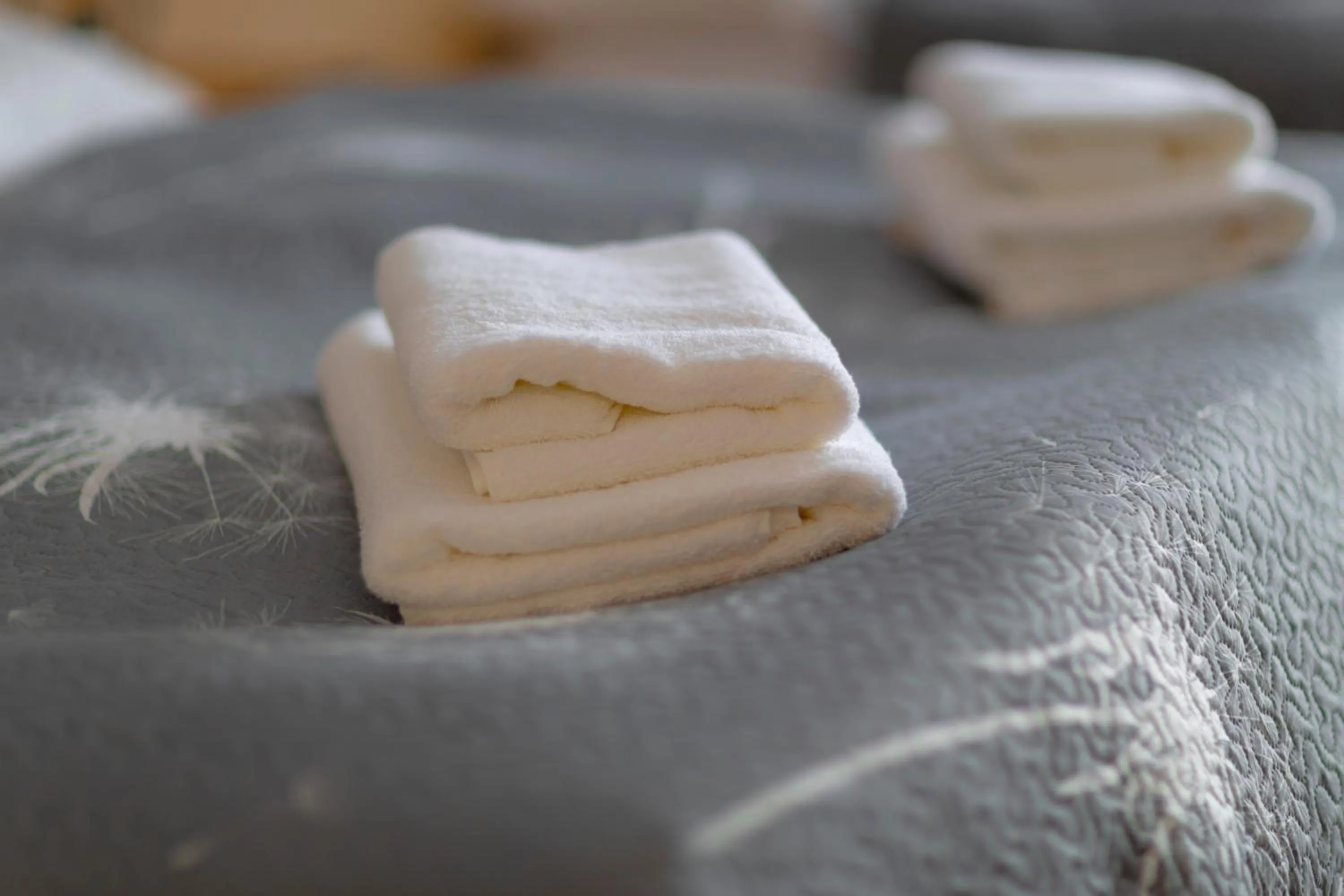 Decorative detail, Bed in Hotel & Restaurant Barca