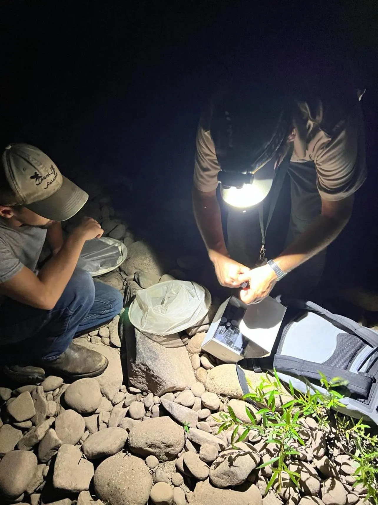 Laurel River Club Bed & Breakfast or LRCBNB