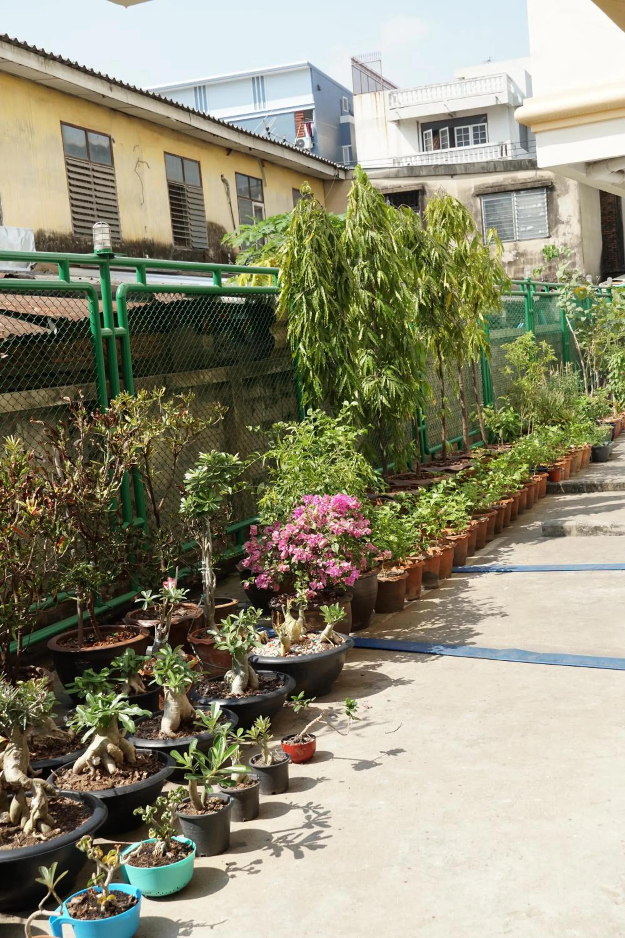 Garden in Sitara Place Serviced Apartment & Hotel
