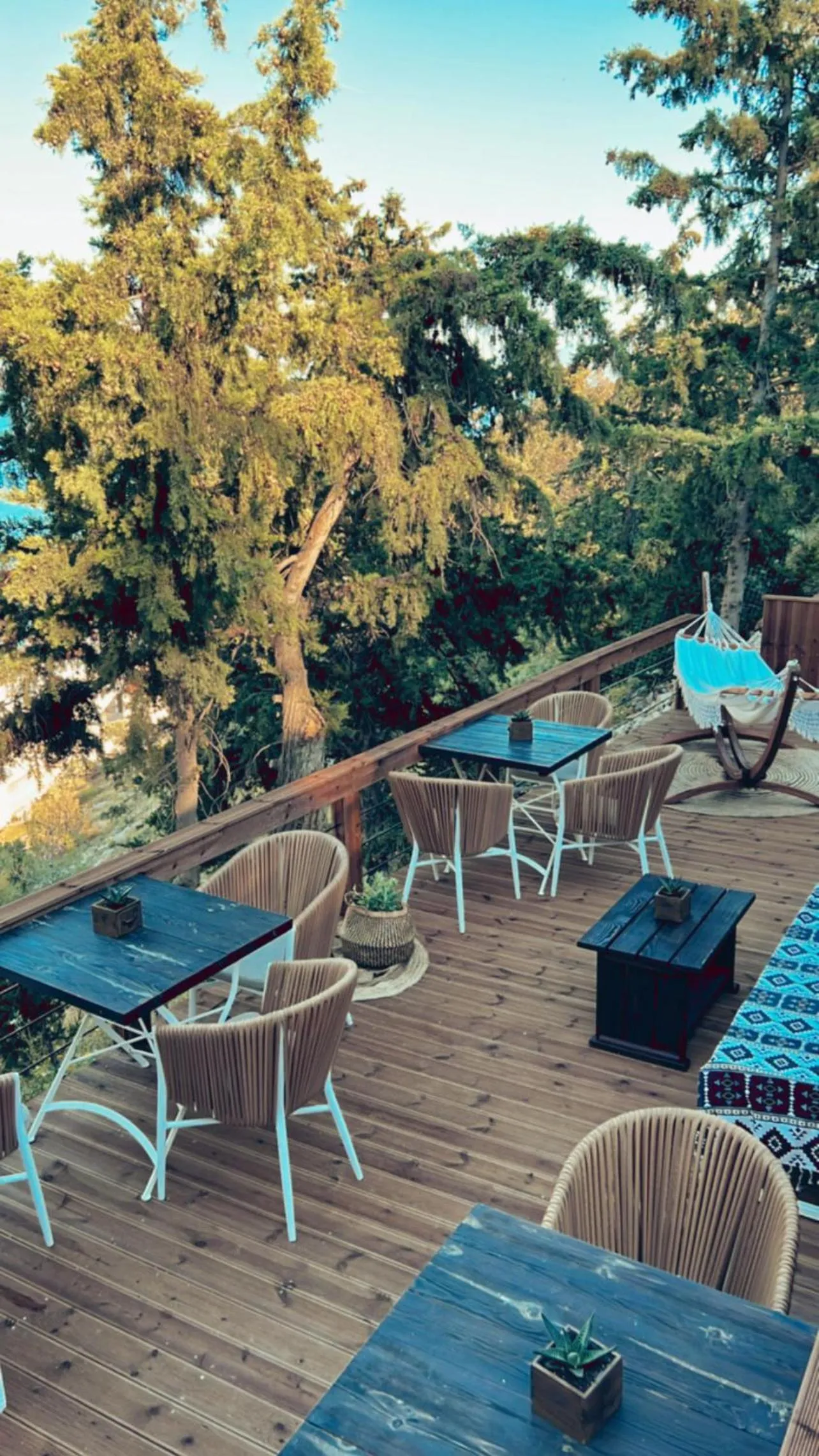 Restaurant/places to eat in Spongia Apartments Kalymnos