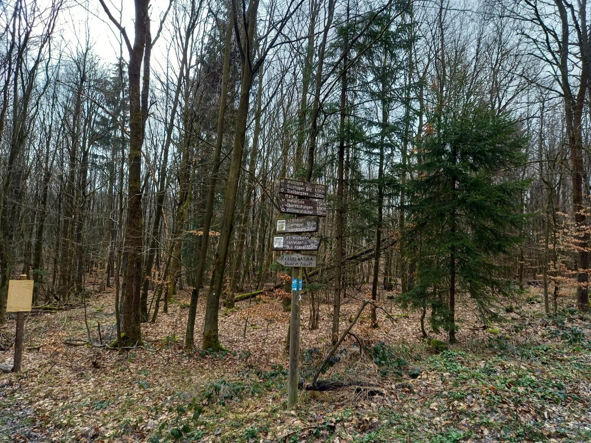 Hiking in Wollröder Krug