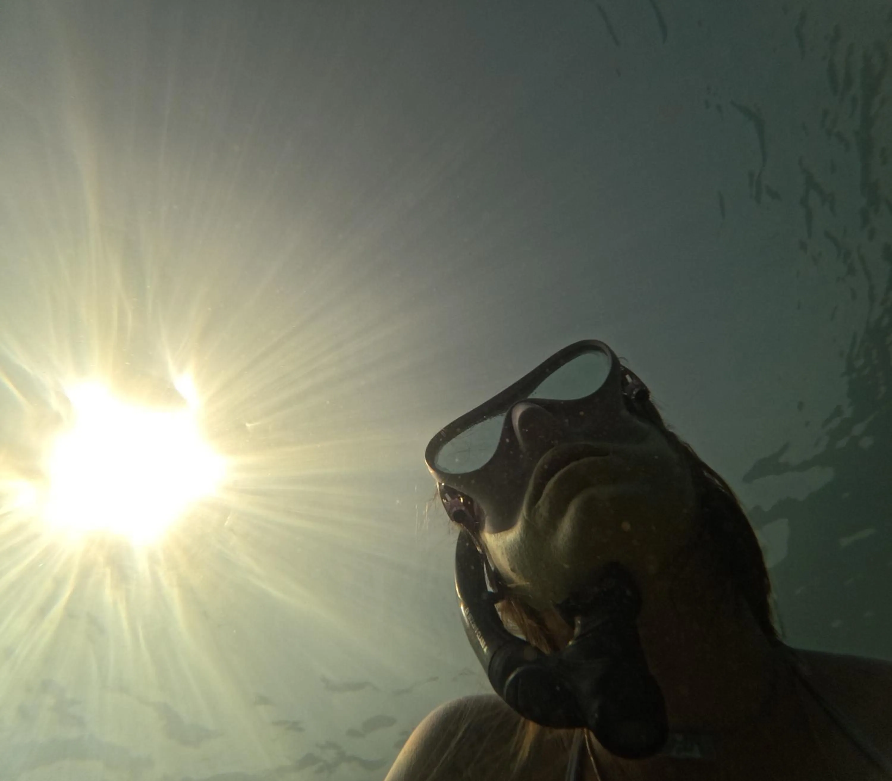 Snorkeling in Hostal Cuca Macuca