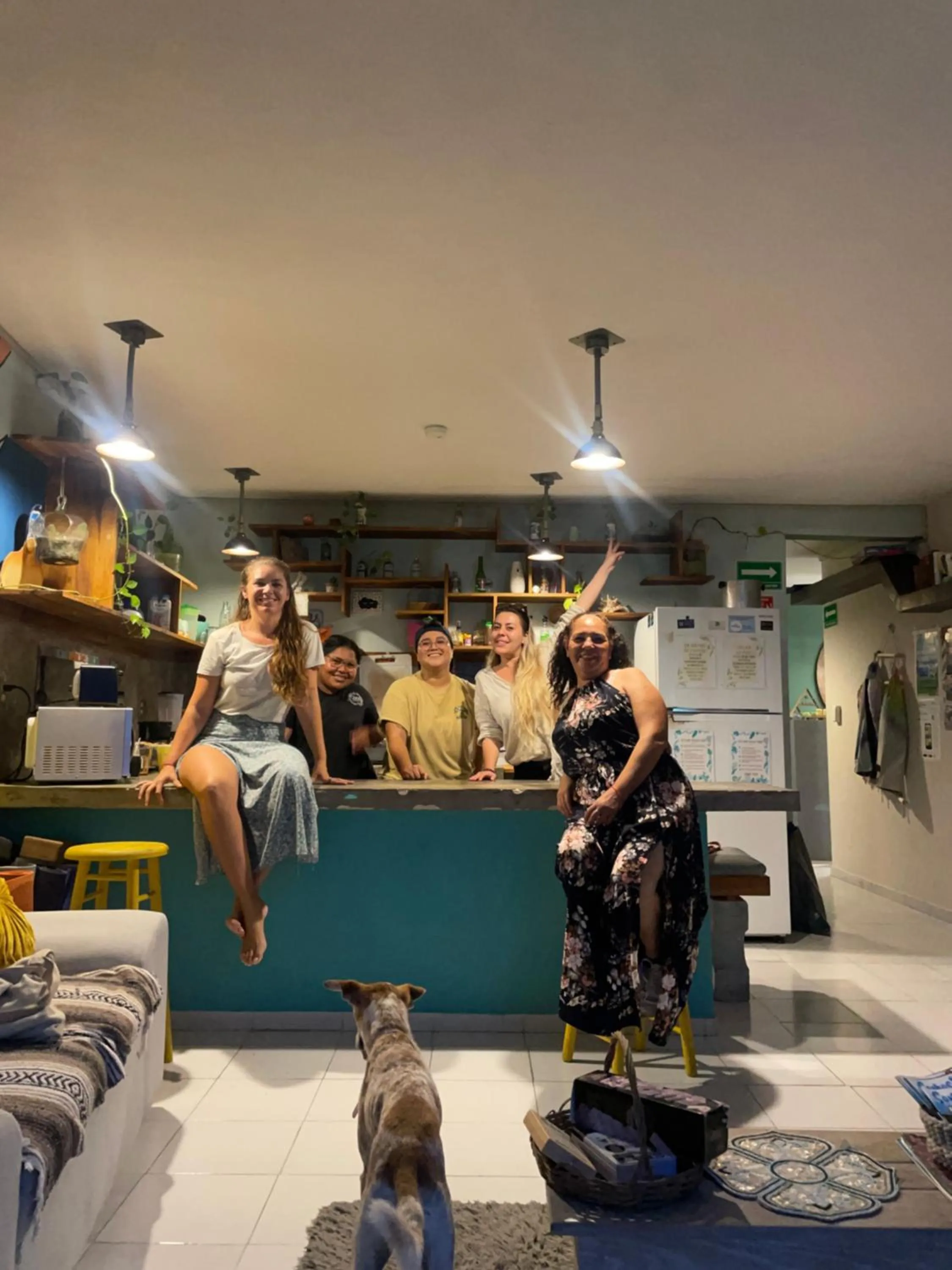 Communal kitchen in Hostal Cuca Macuca