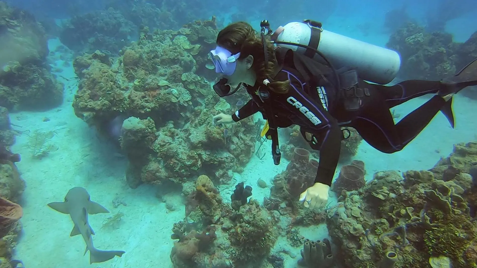 Diving in Hostal Cuca Macuca