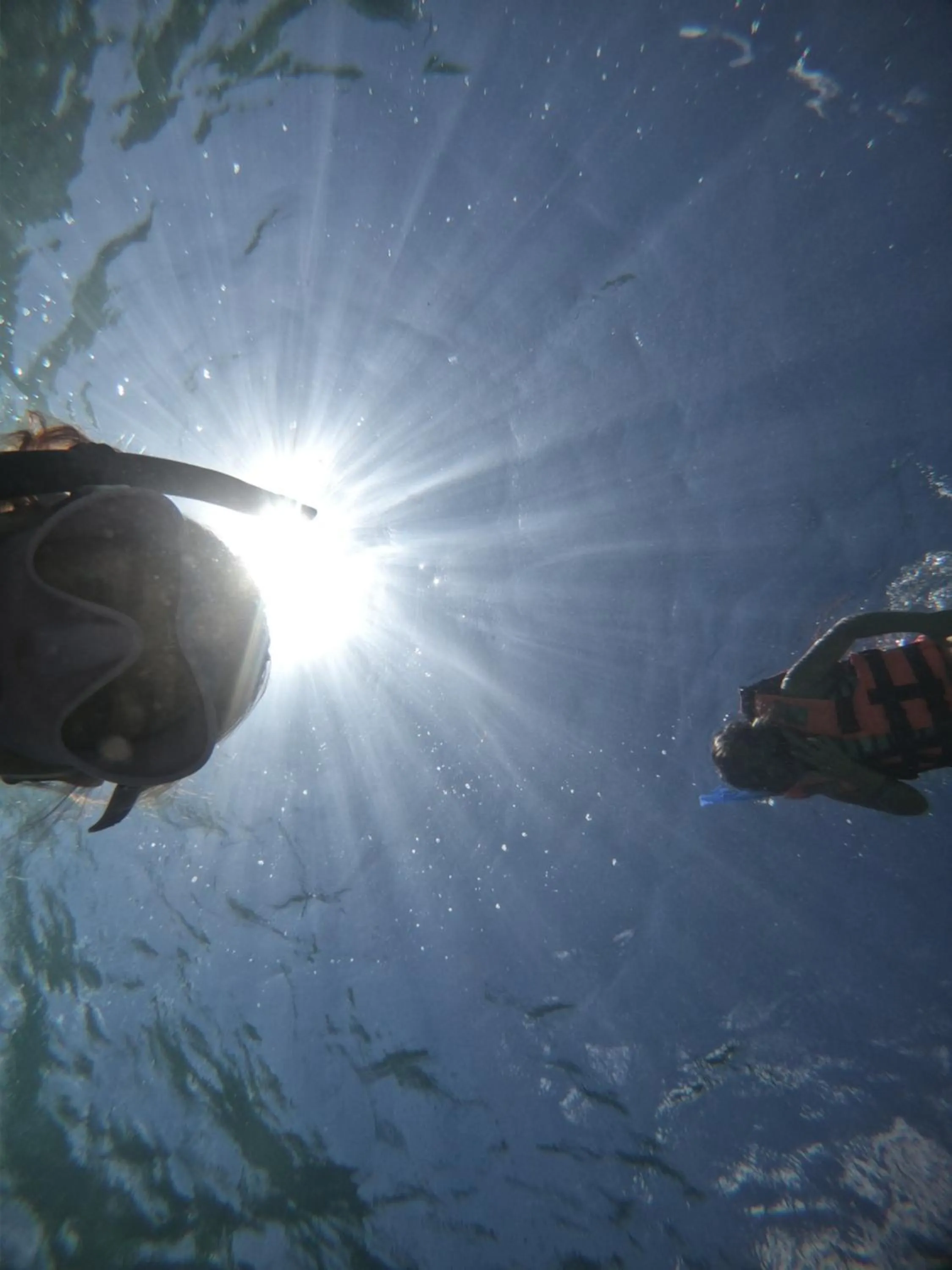 Snorkeling in Hostal Cuca Macuca