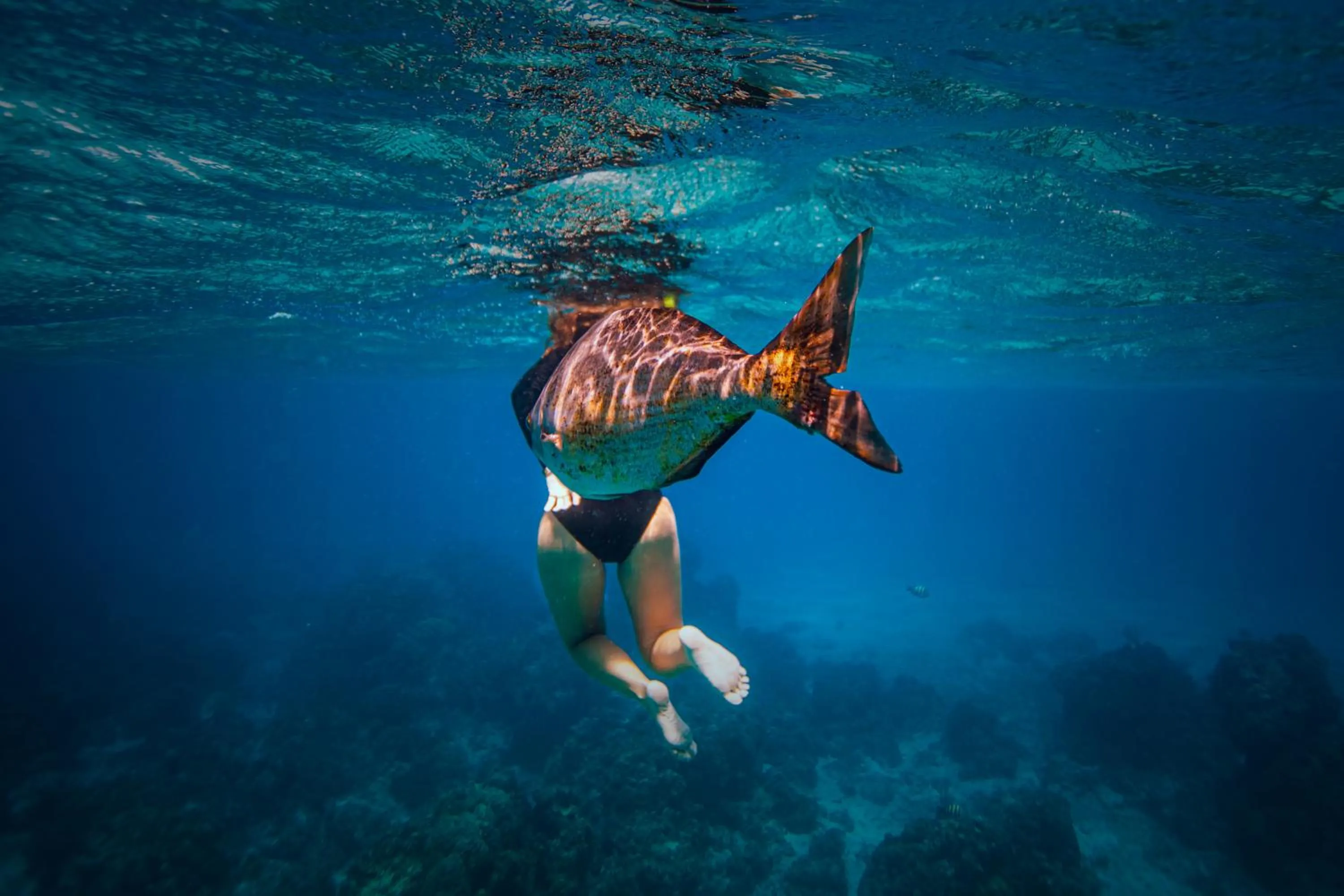 Snorkeling in Hostal Cuca Macuca