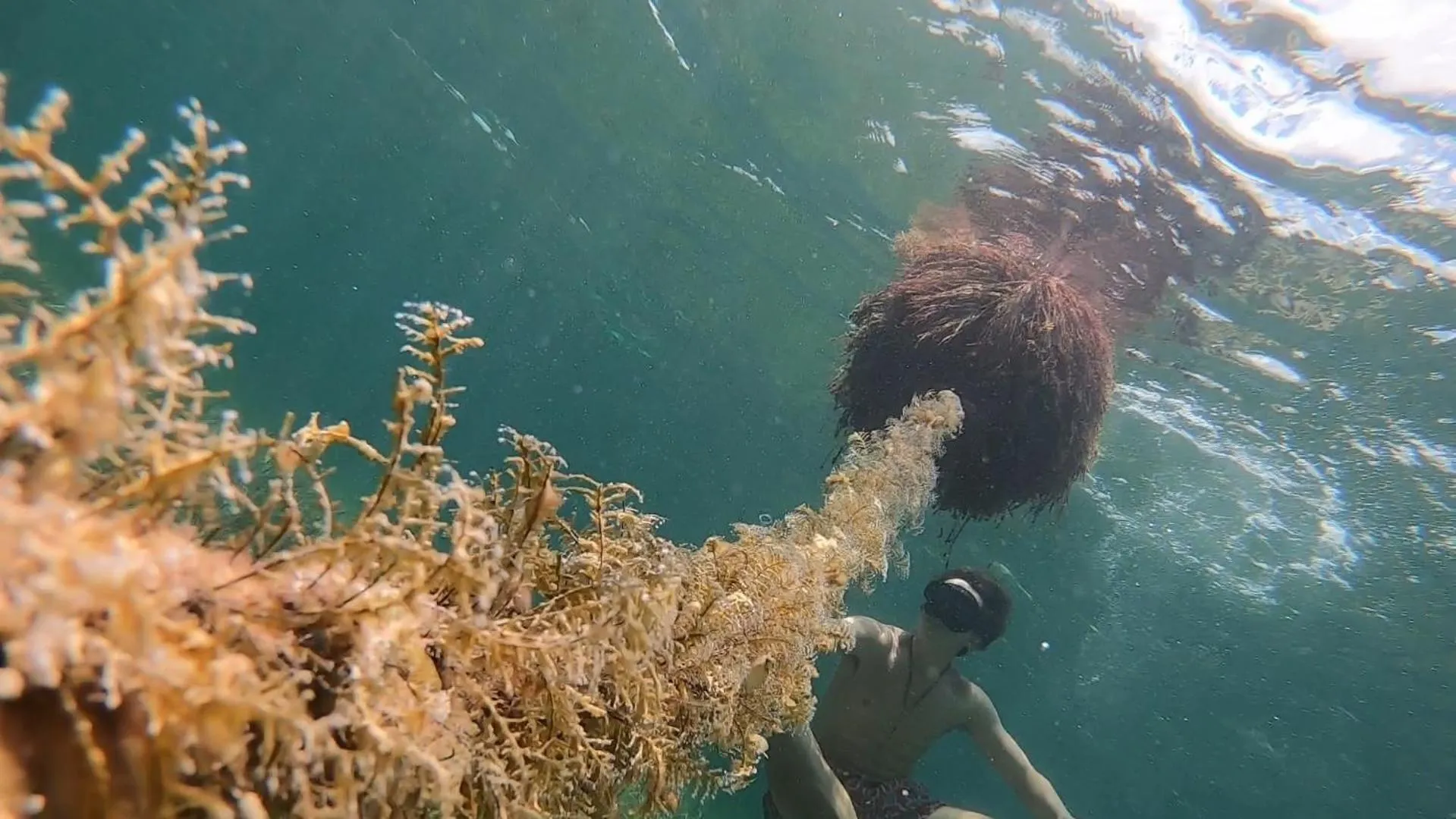Snorkeling in Hostal Cuca Macuca