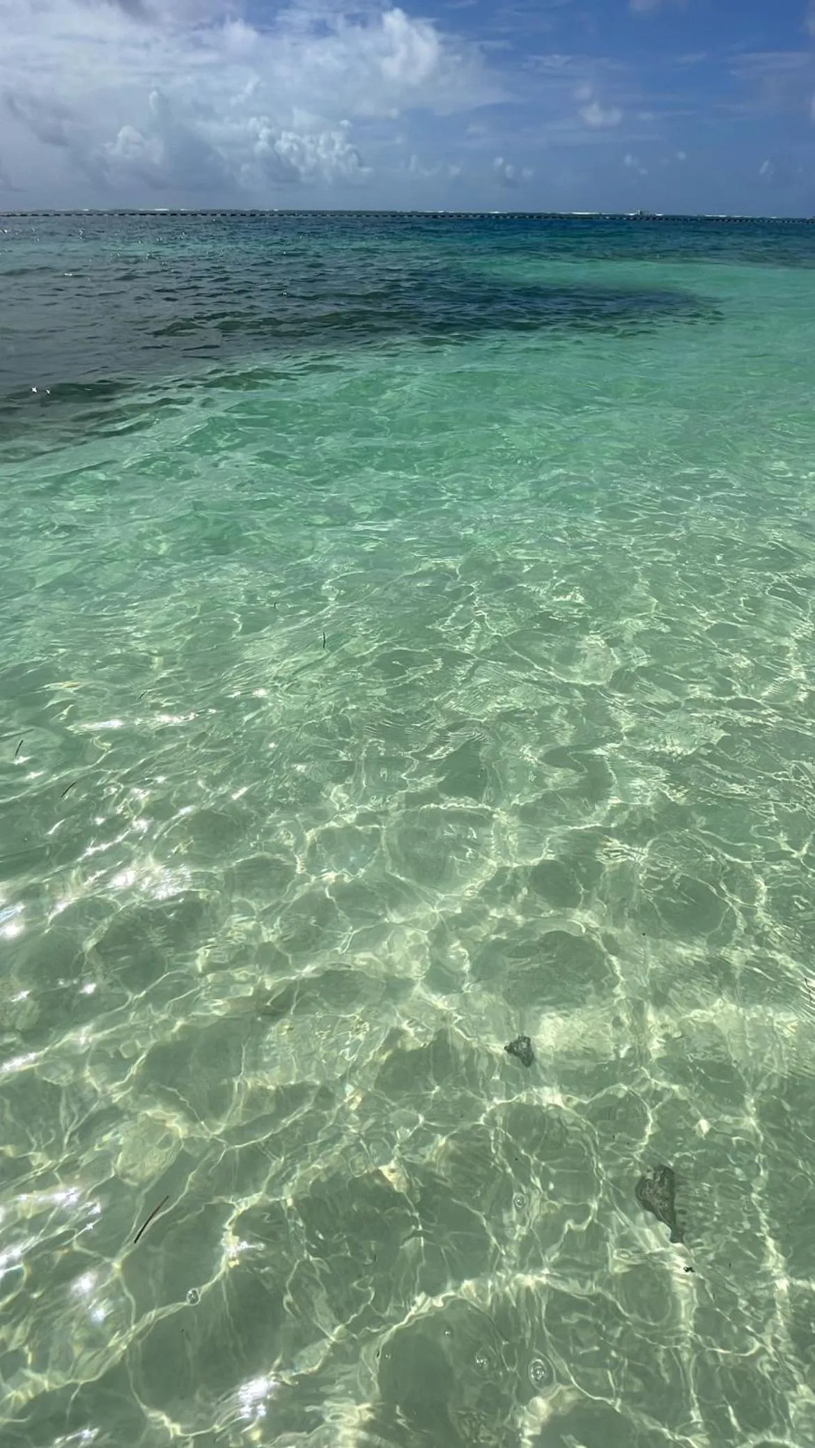 Beach in Hostal Cuca Macuca