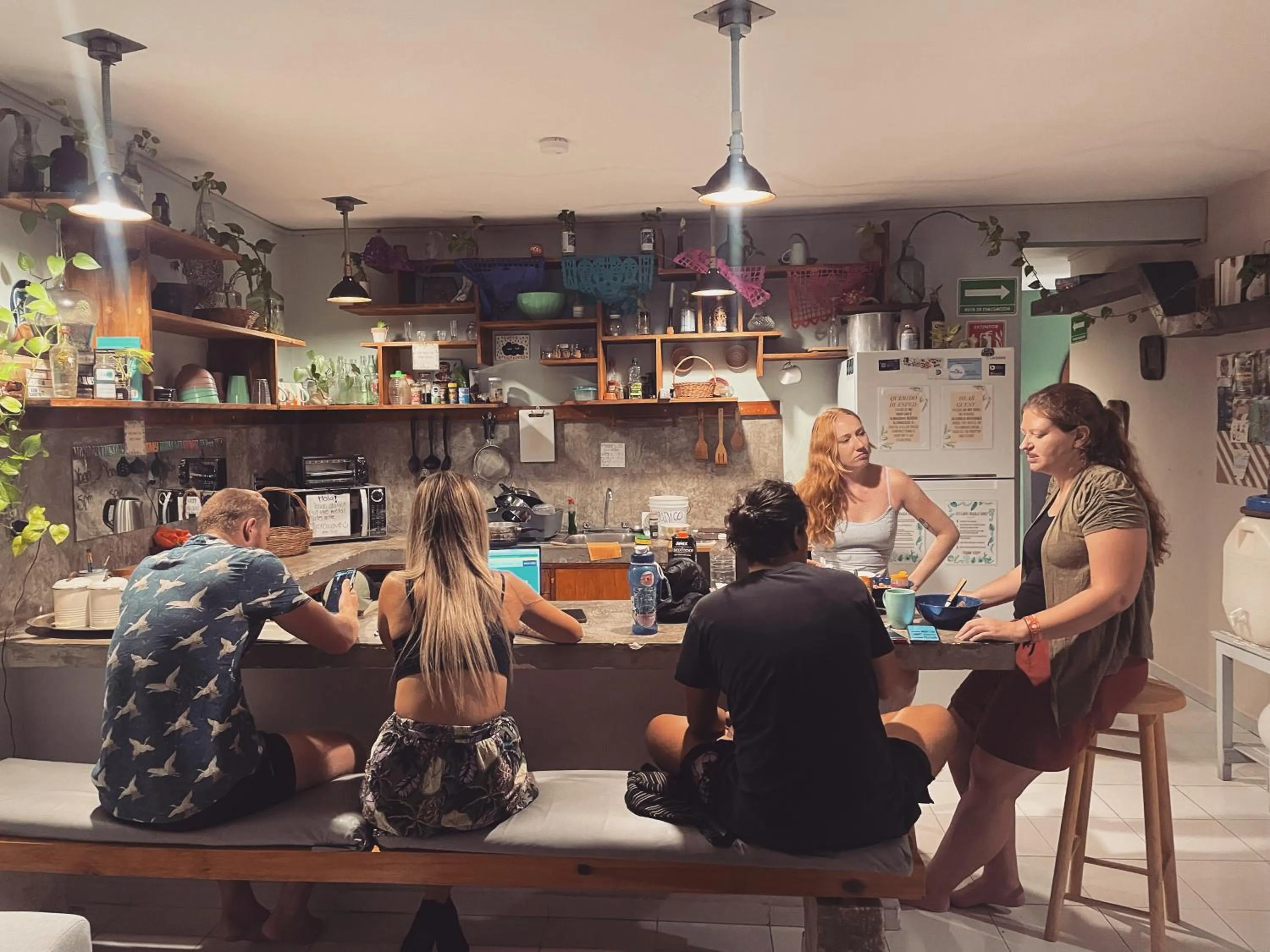Communal kitchen in Hostal Cuca Macuca