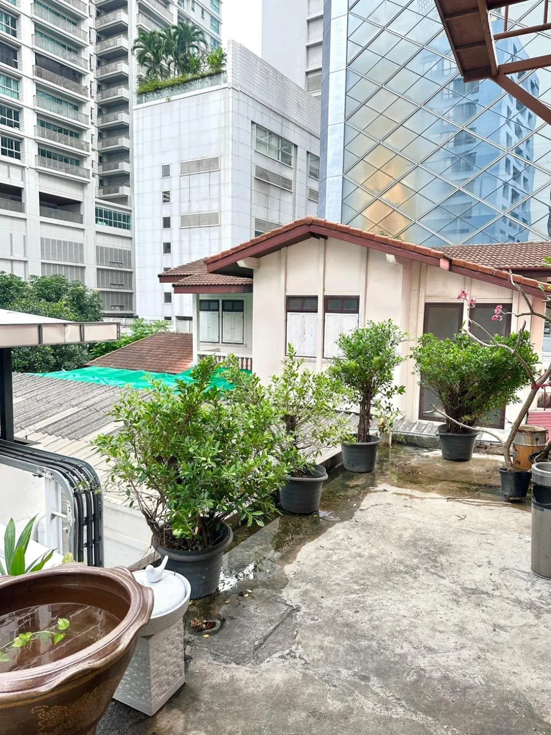 Garden in Studio F Sukhumvit