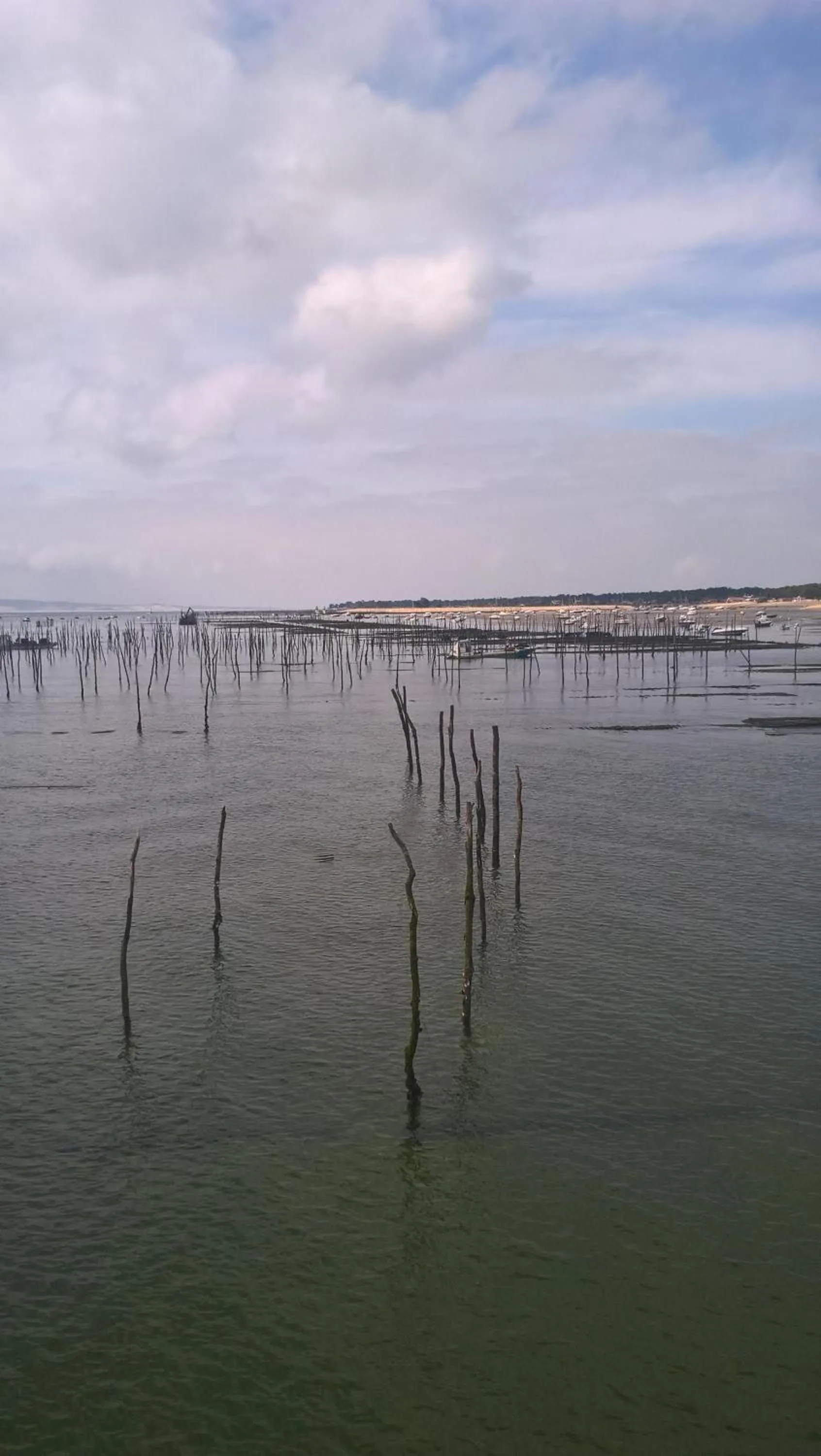 Activities in Les Calicots Sanguinet