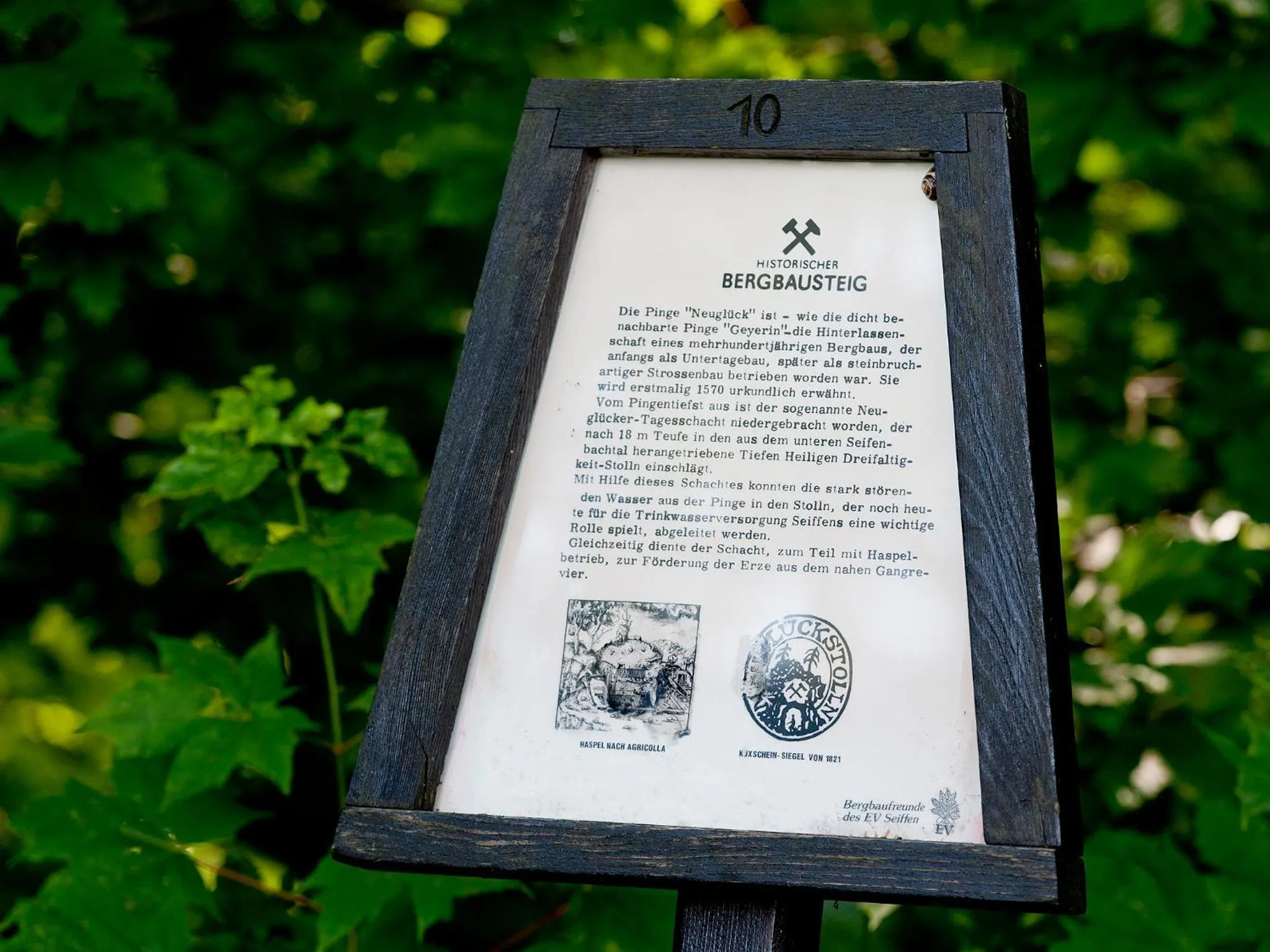 Area and facilities in Hotel Sonne