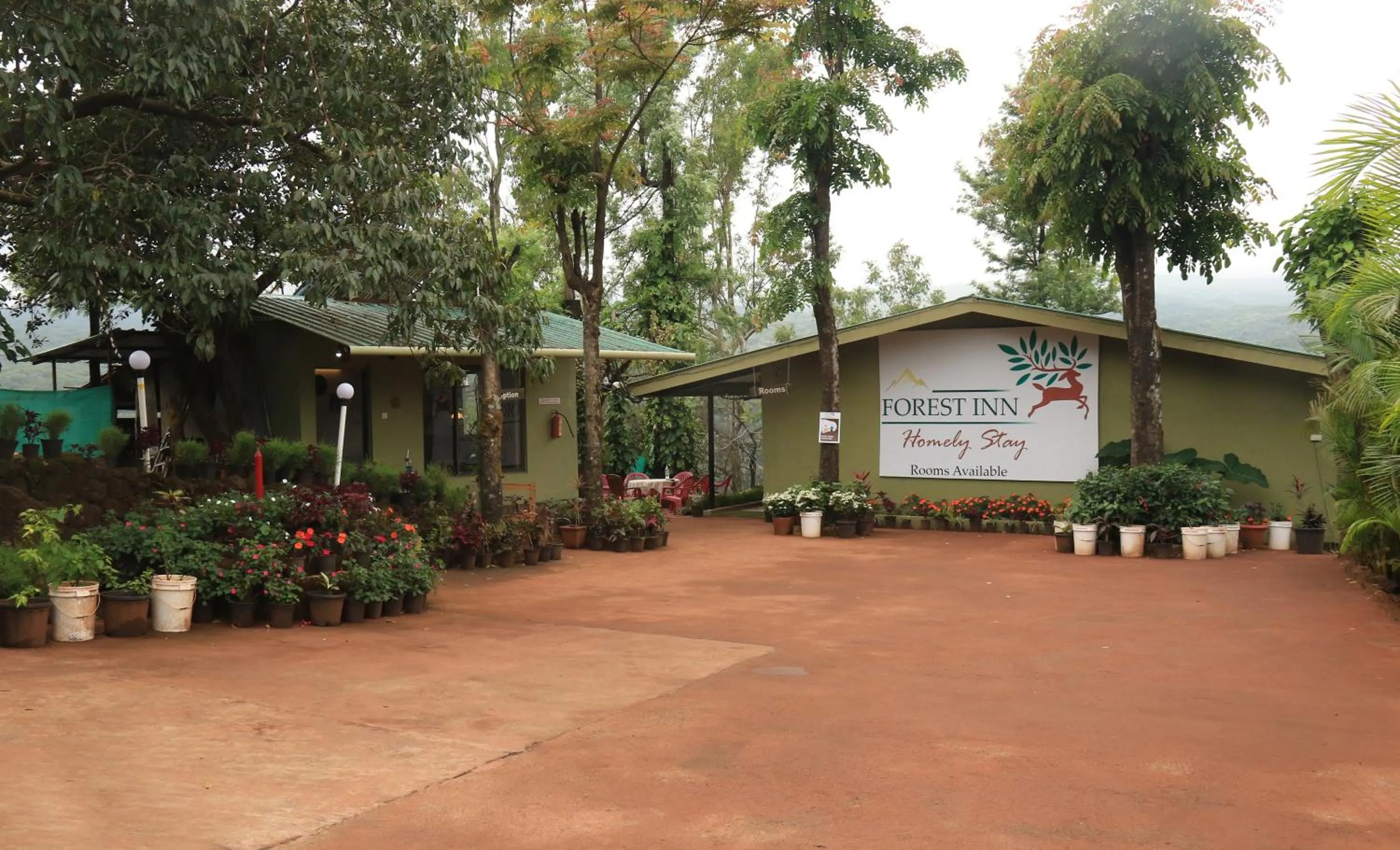 Facade/entrance in Forest Inn
