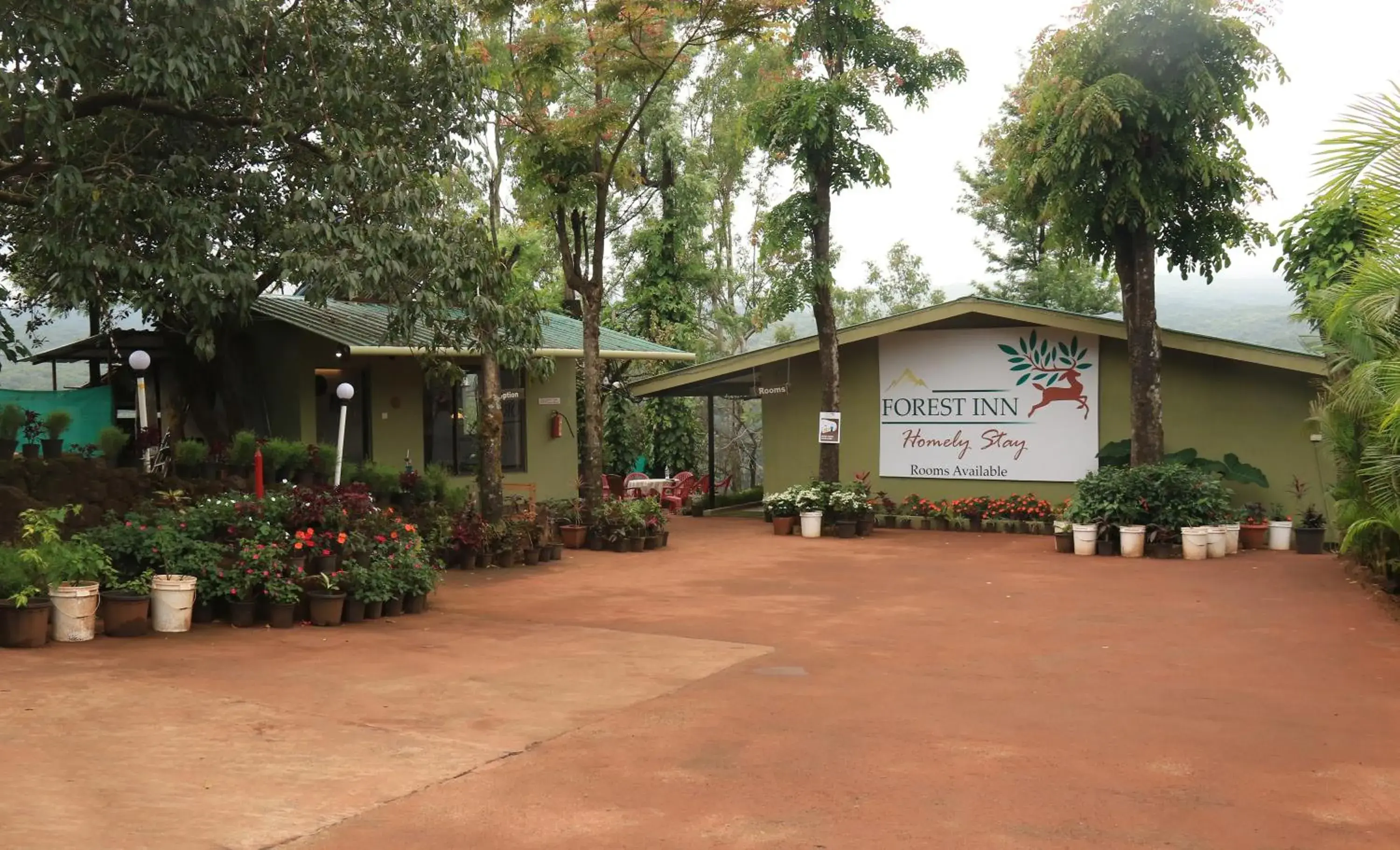 Facade/entrance in Forest Inn Facade/entrance in Forest Inn