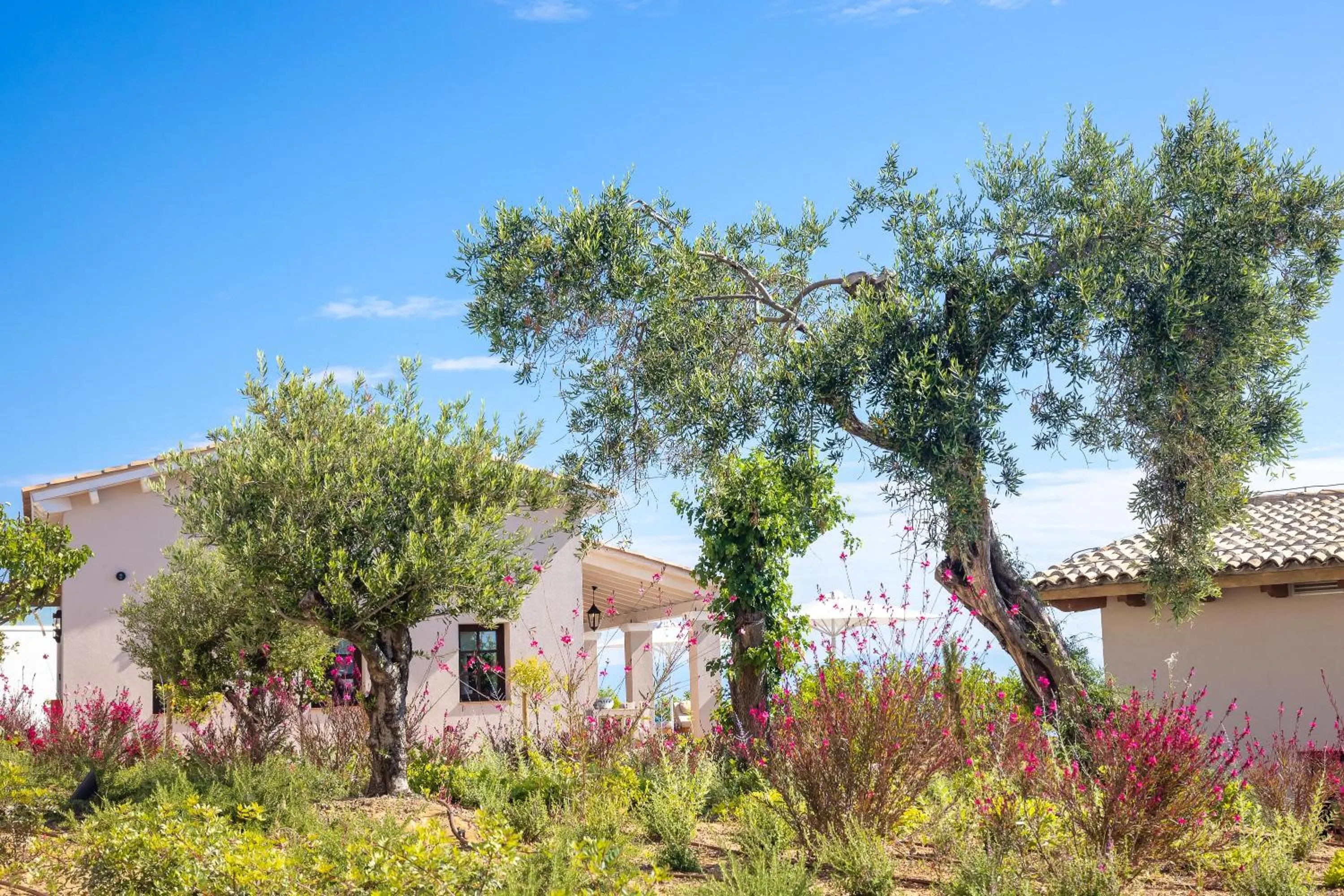 Garden in Angsana Corfu Resort & Spa